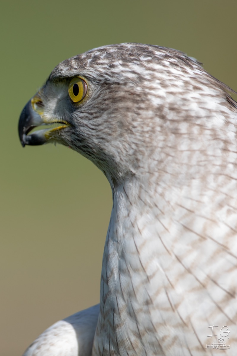  5D48830 210928 11 08 48