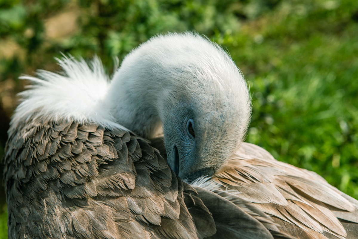 2Y6A0025 201013 12 57 31