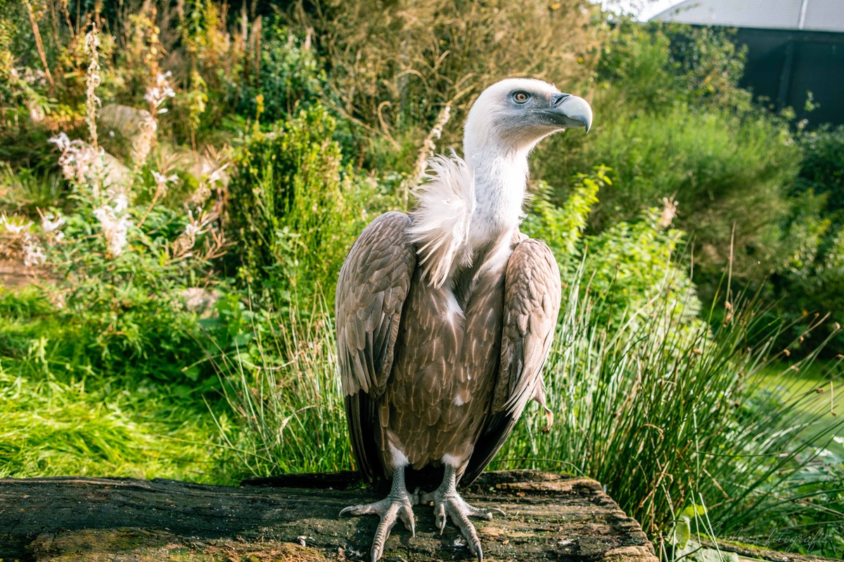 2Y6A0028 201013 12 58 11