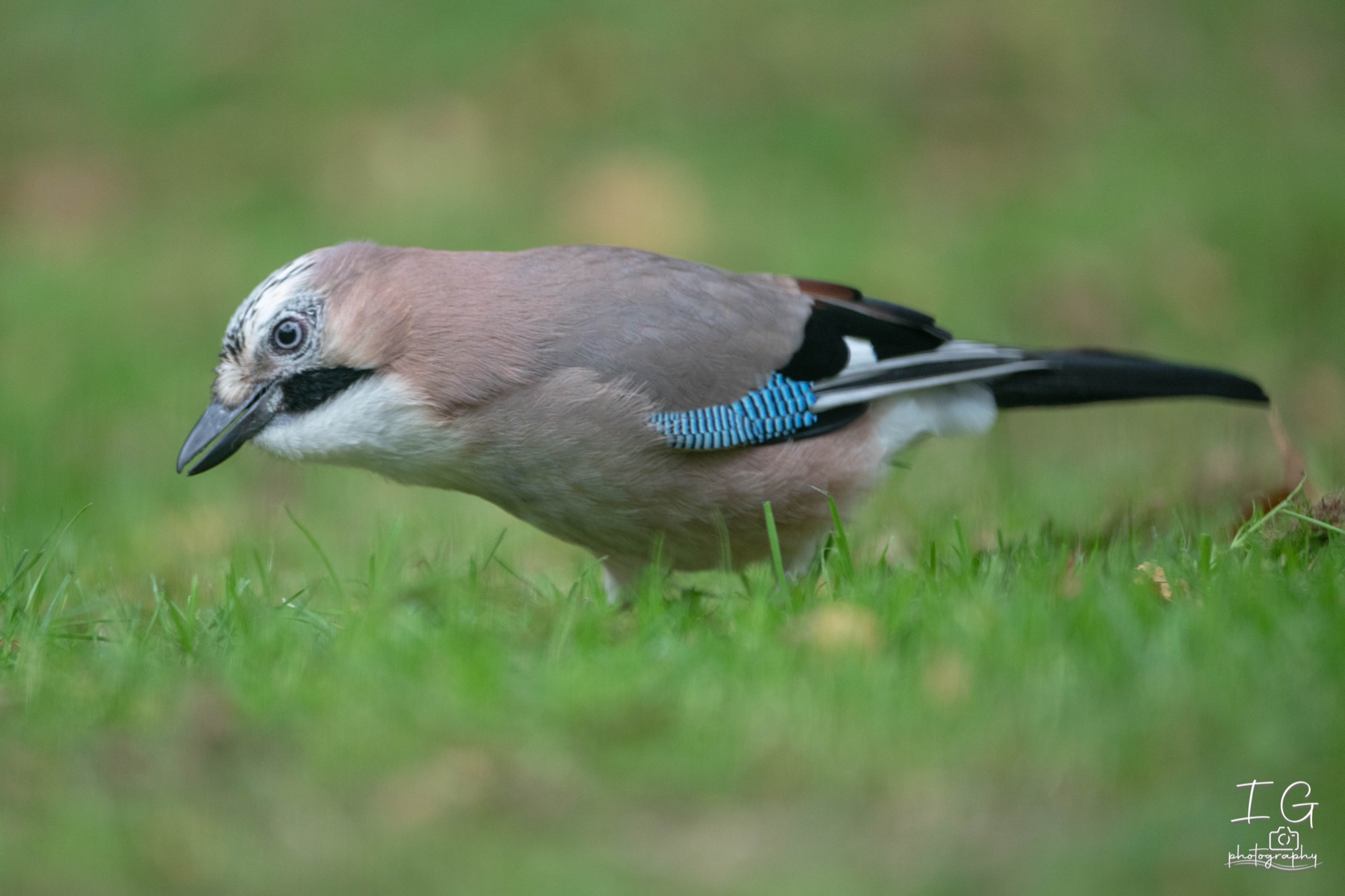  5D48110 210925 12 29 46