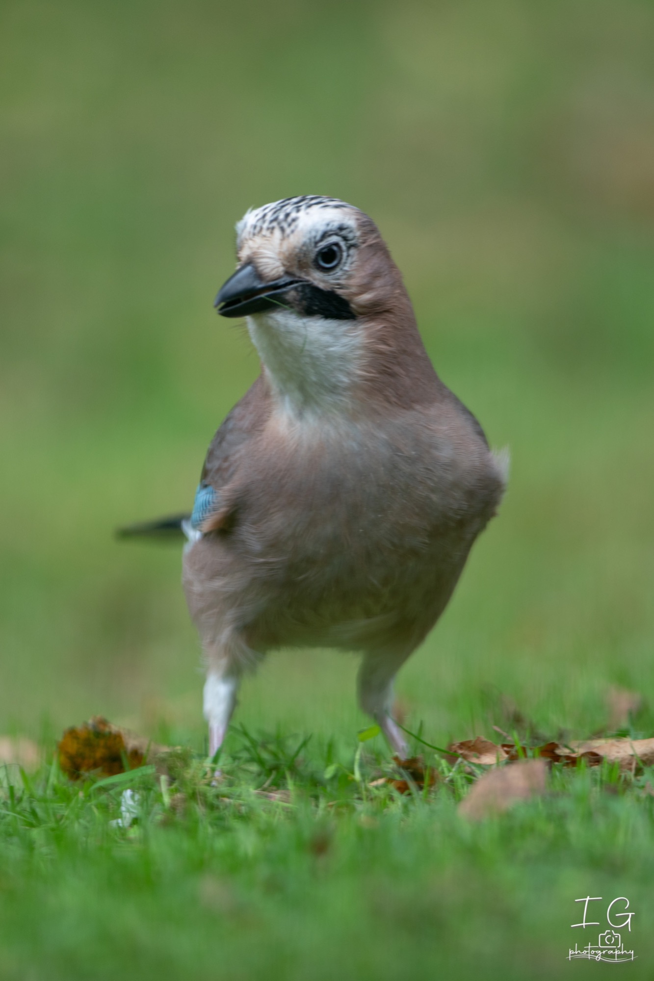  5D48129 210925 12 31 55