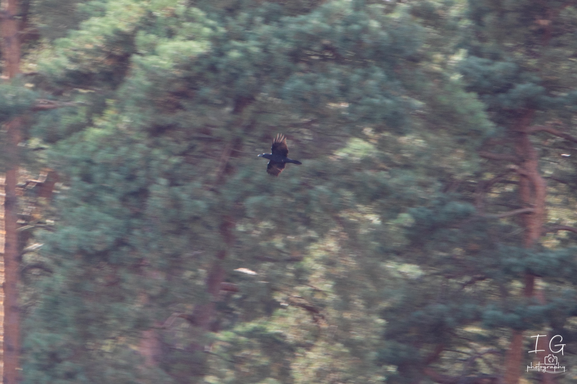  5D48893 210928 15 46 50