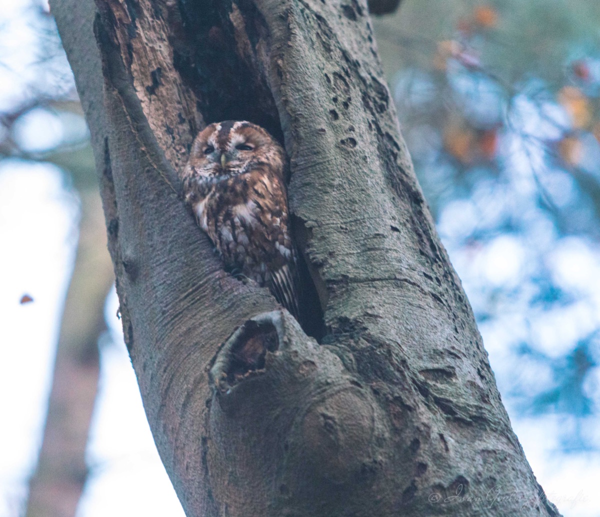 2Y6A0390 201114 16 41 20