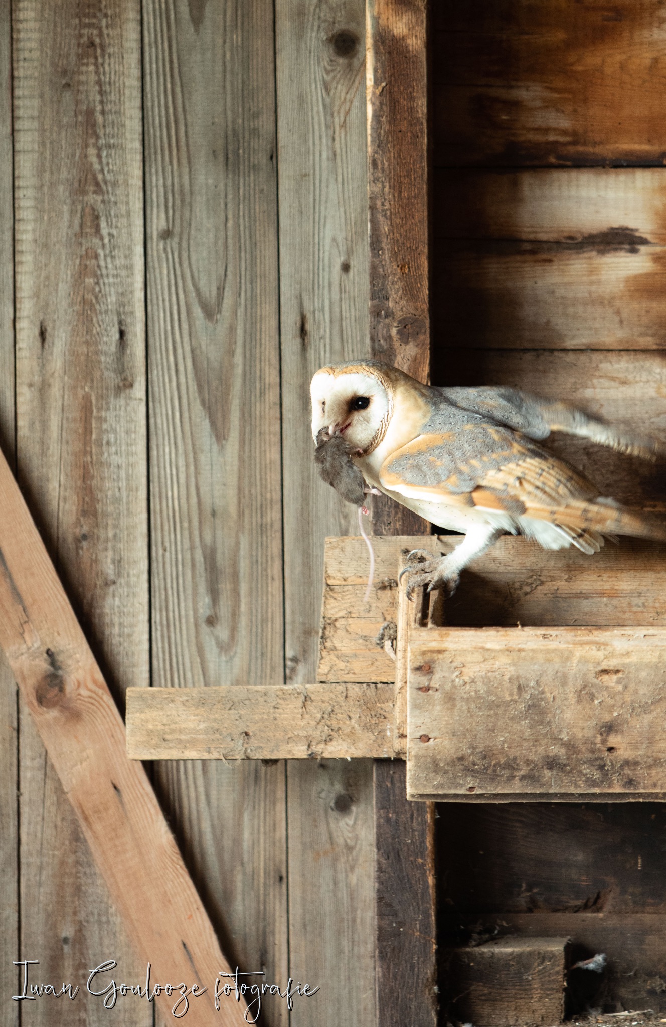 2Y6A1860 201204 12 02 14