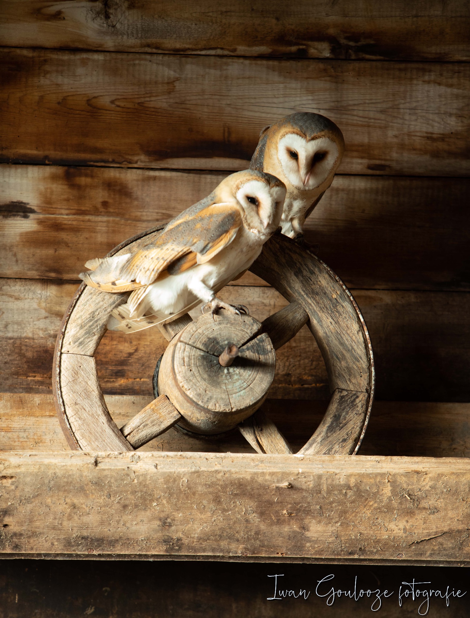 2Y6A1958 201204 12 07 22