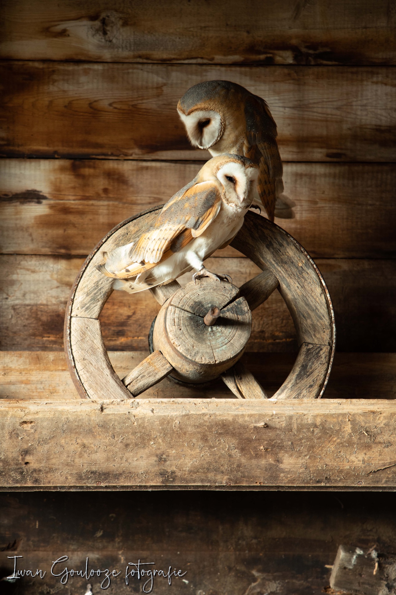 2Y6A1961 201204 12 07 25