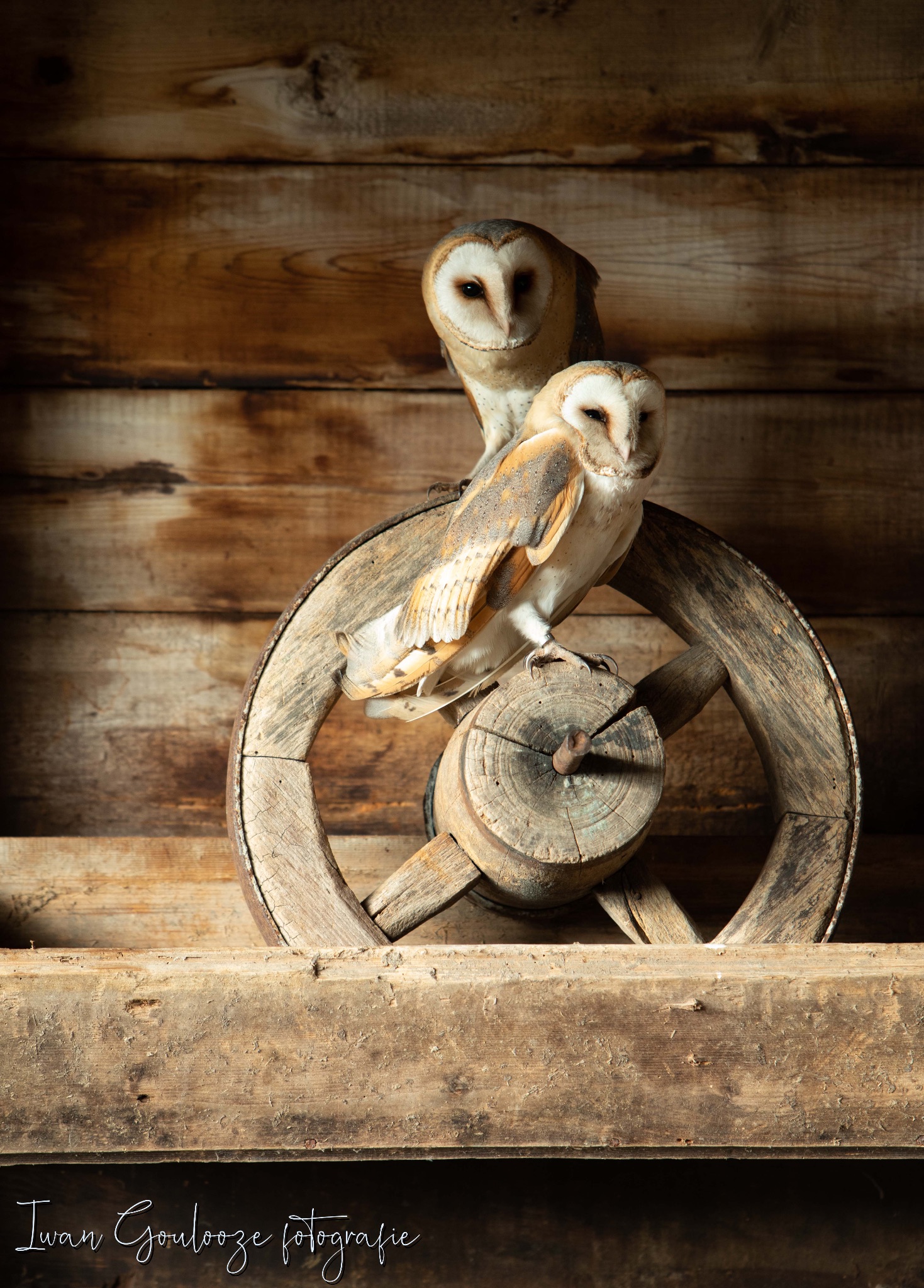 2Y6A1962 201204 12 07 27