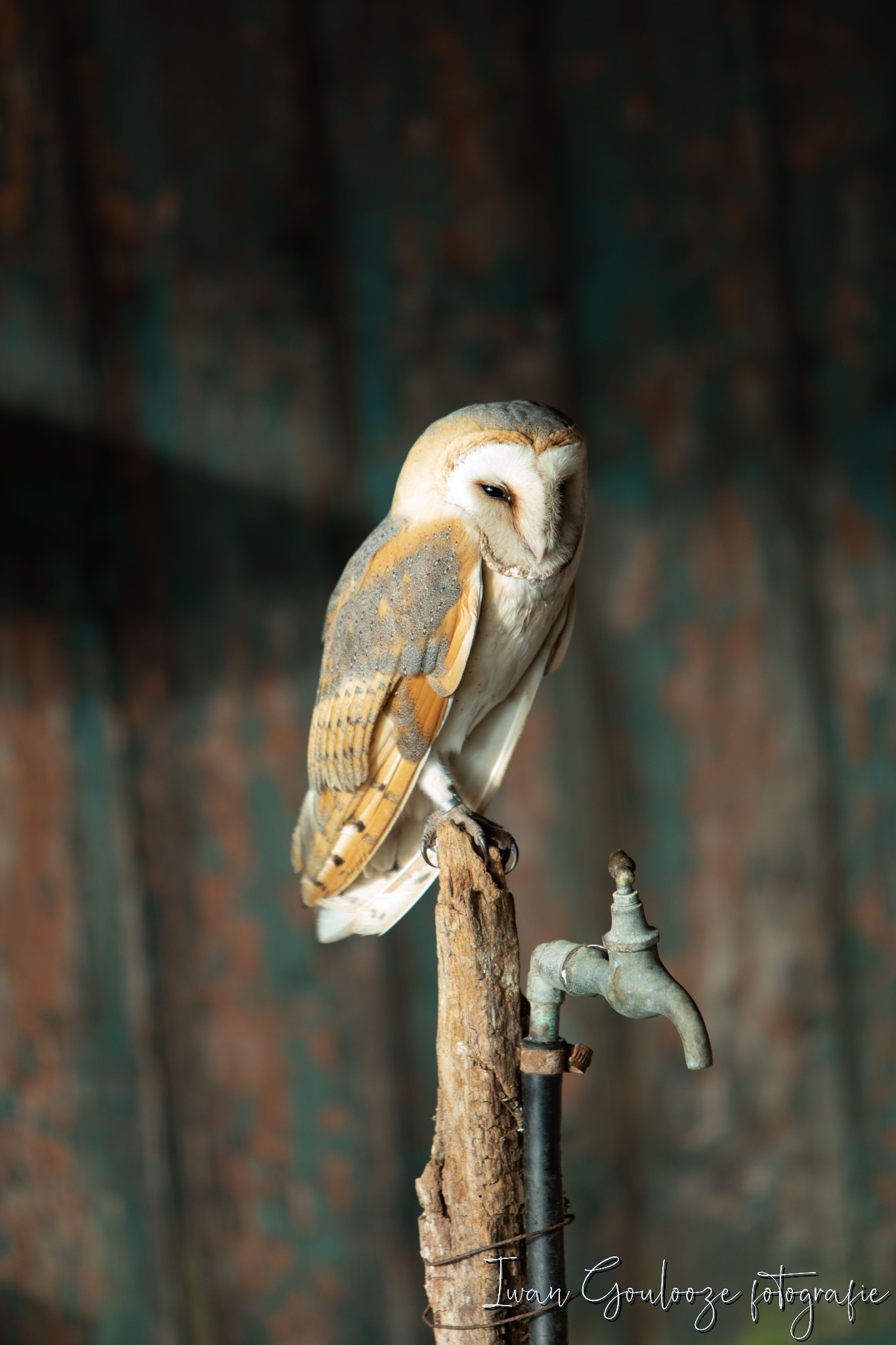 2Y6A1998 201204 12 08 29