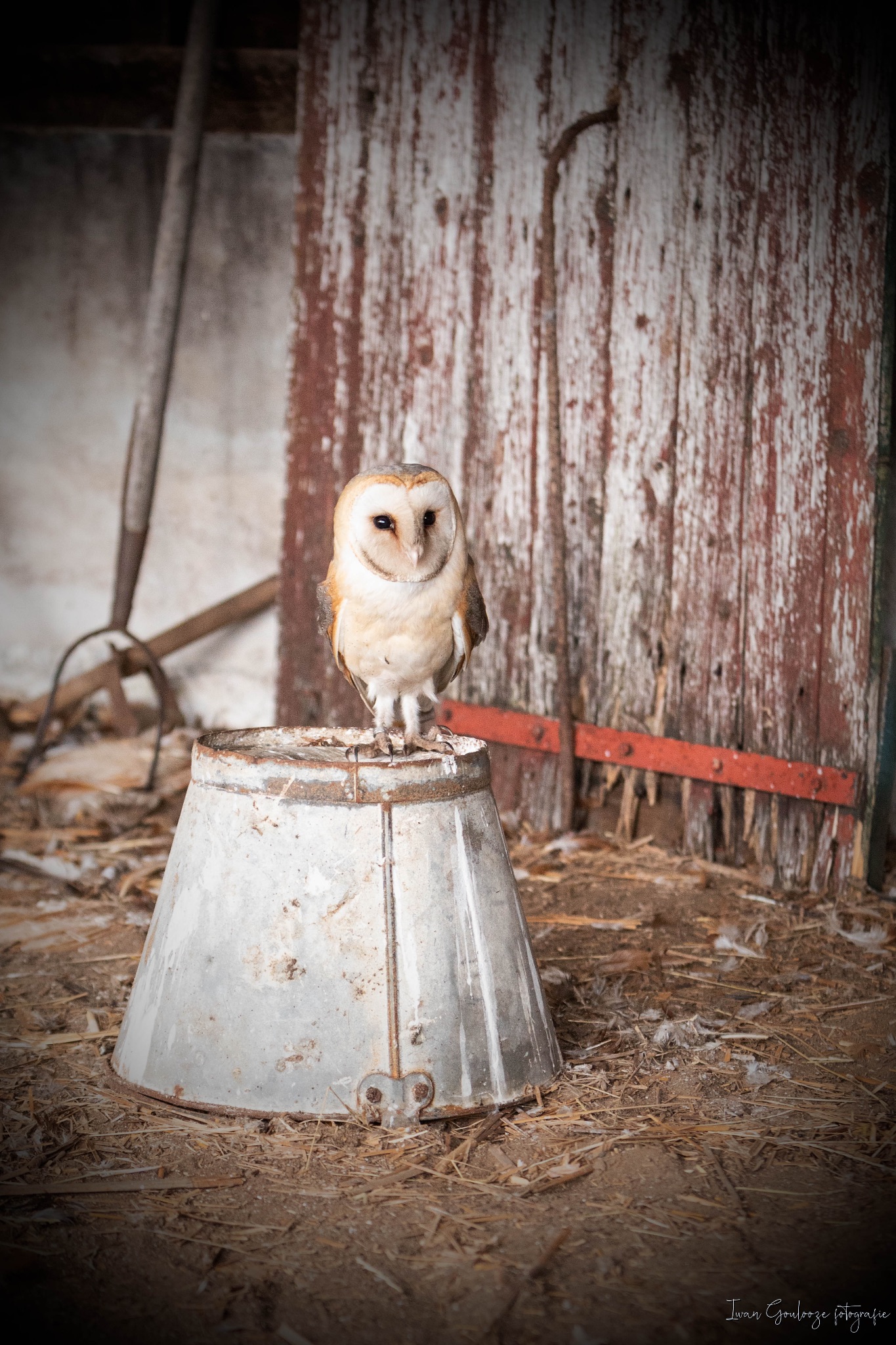 2Y6A3978 210116 12 02 23