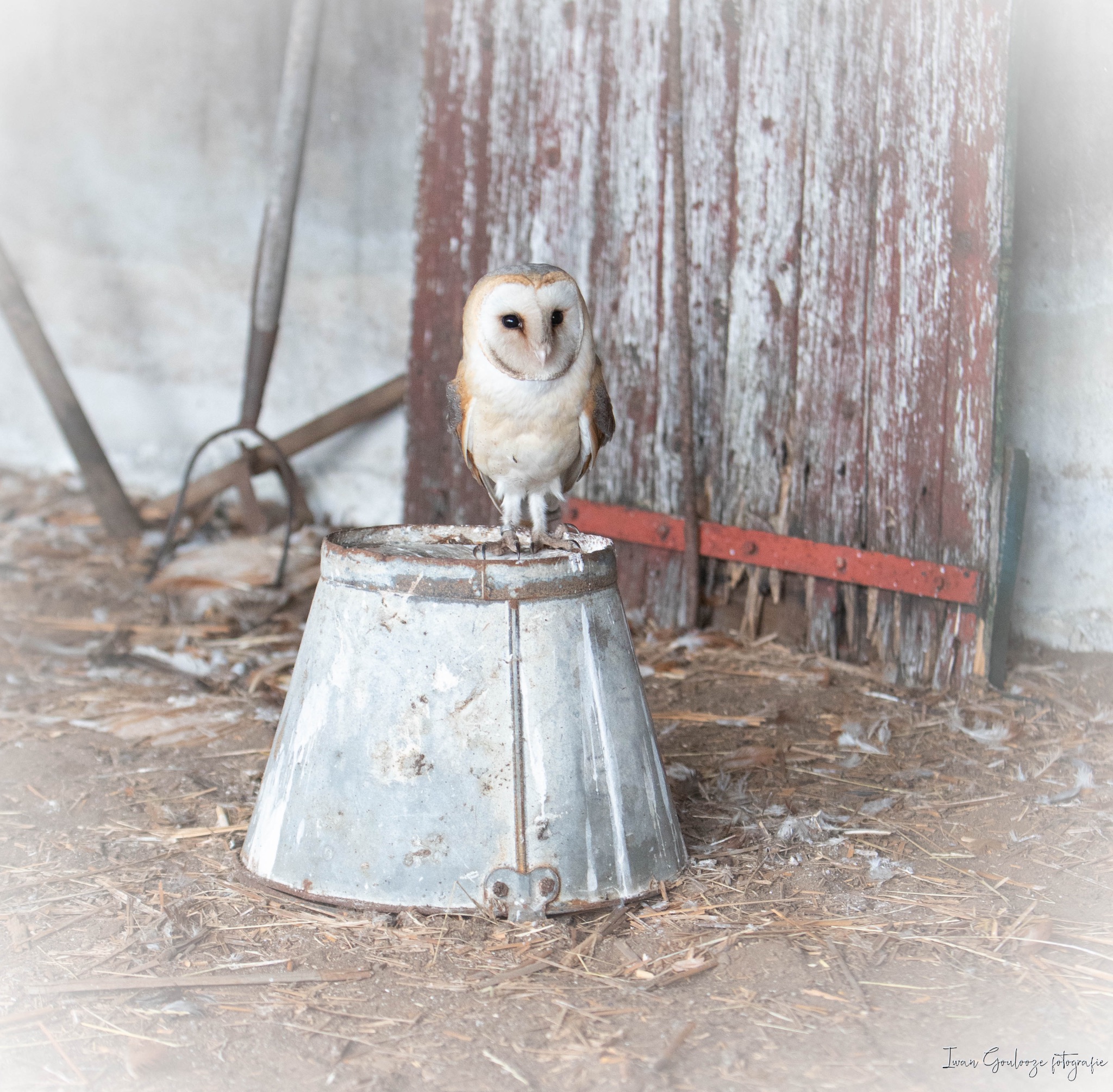 2Y6A3979 210116 12 02 23