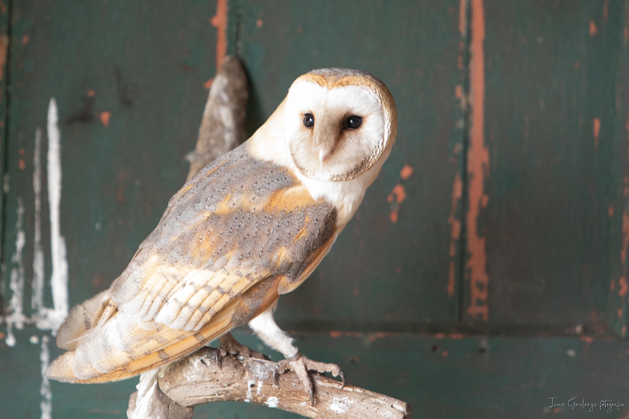 2Y6A4019 210116 12 08 42