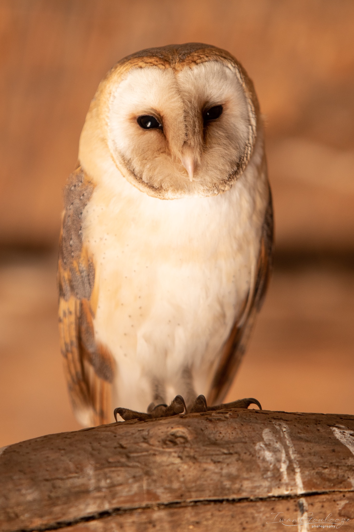 2Y6A7245 210306 10 53 19