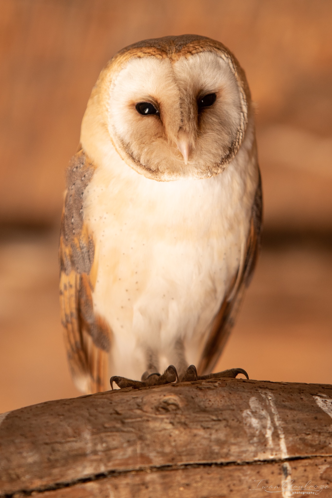 2Y6A7246 210306 10 53 19