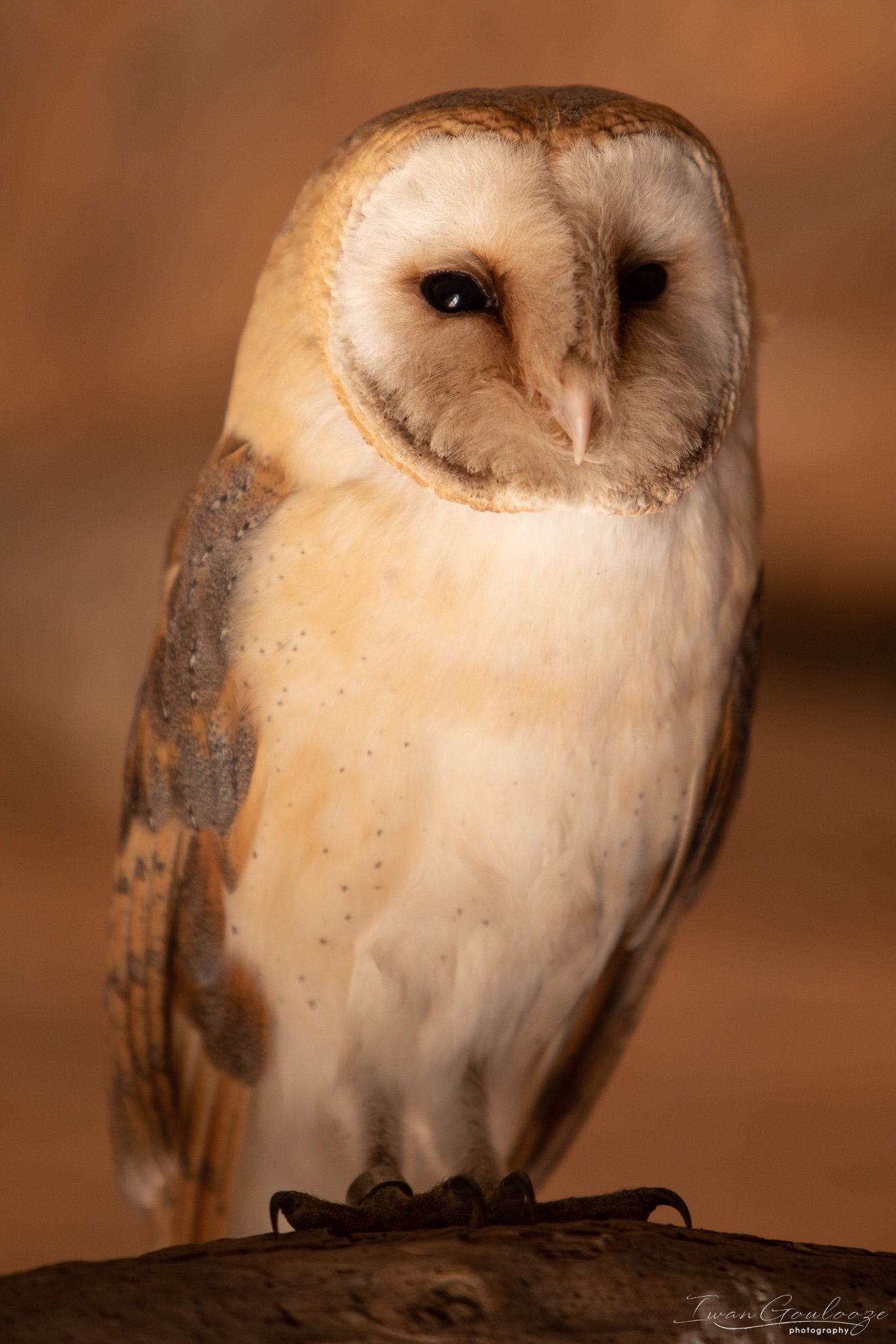 2Y6A7247 210306 10 53 30