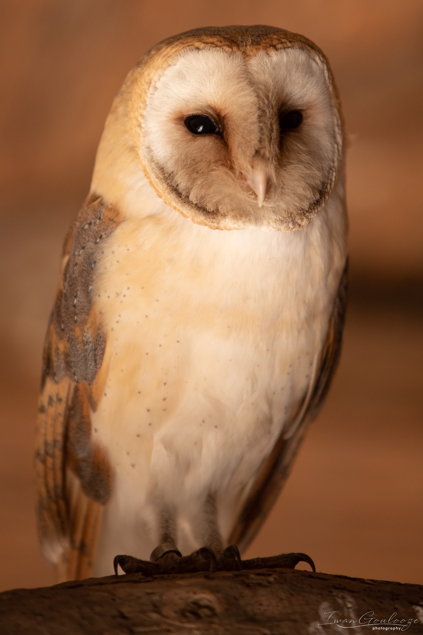 2Y6A7248 210306 10 53 30