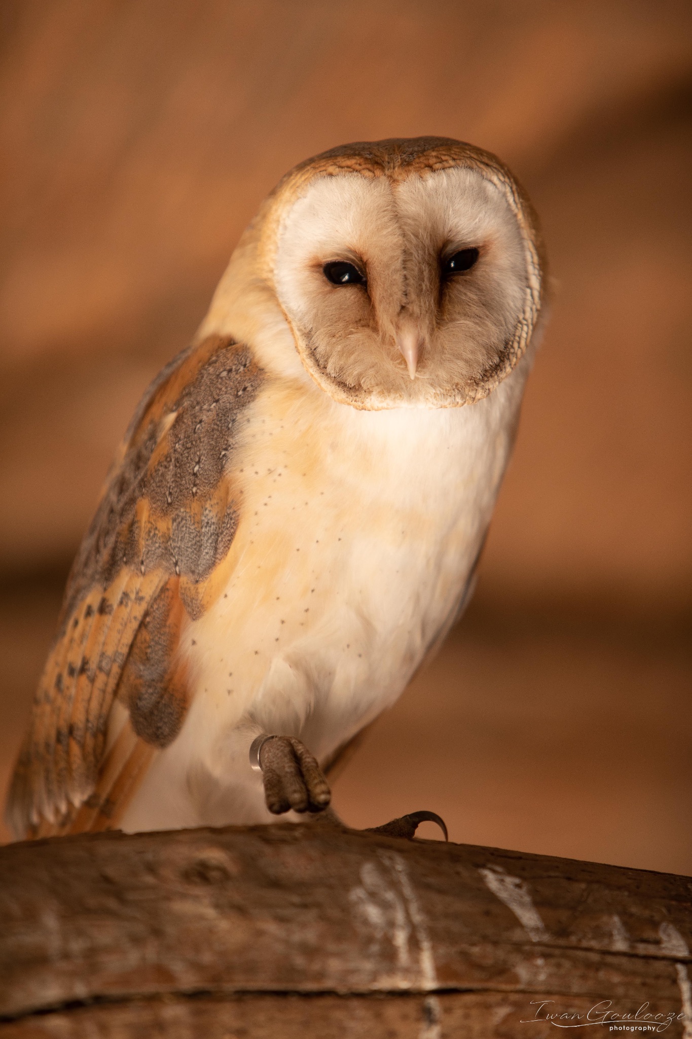 2Y6A7249 210306 10 53 43