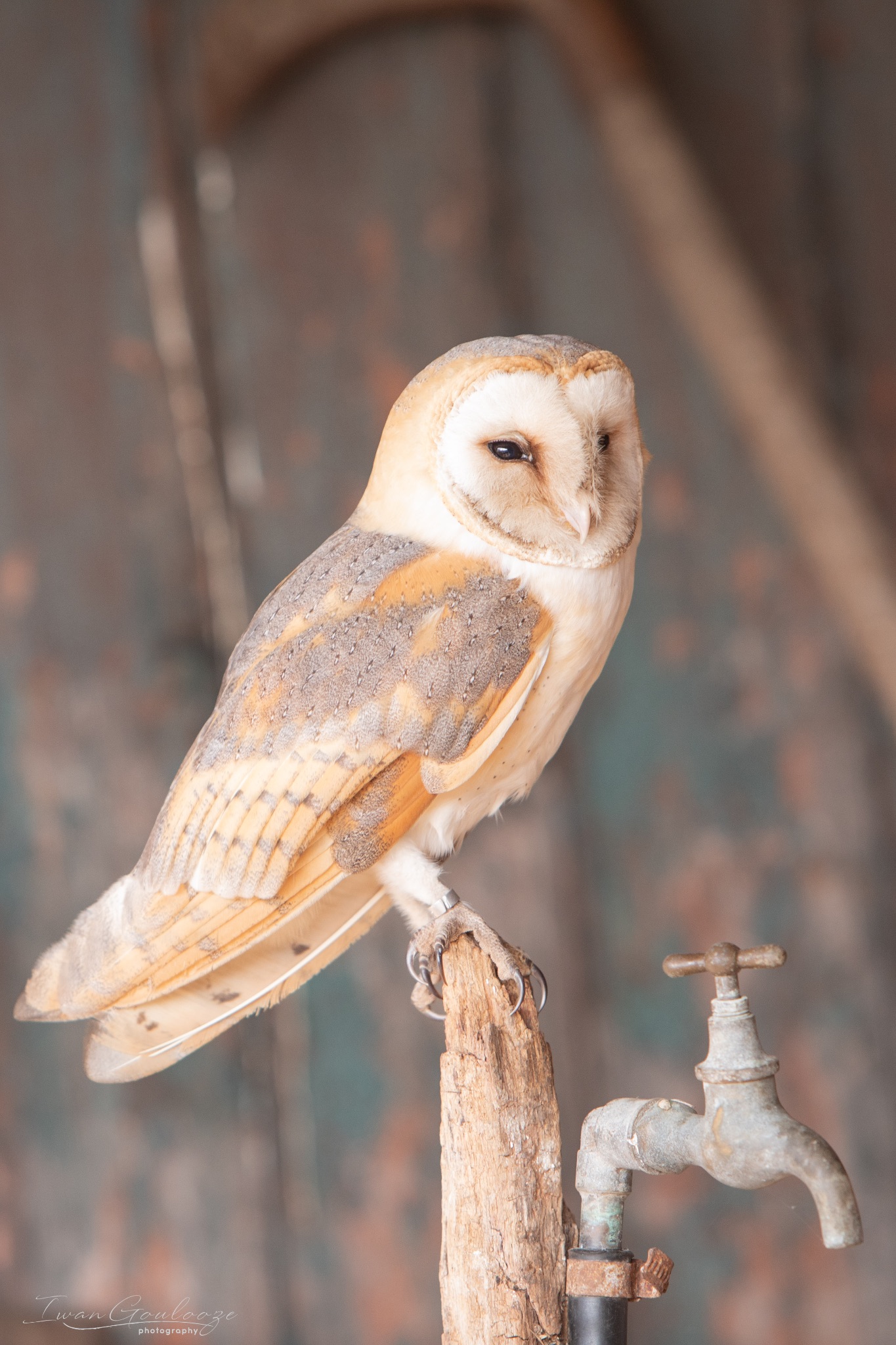 2Y6A7267 210306 10 55 11