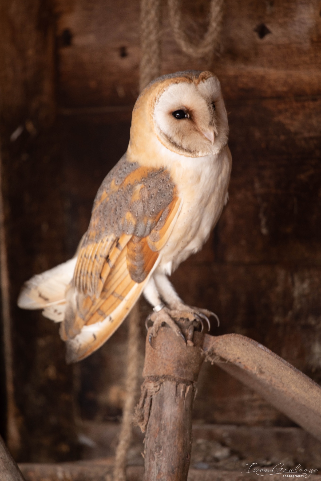 2Y6A7279 210306 10 58 16