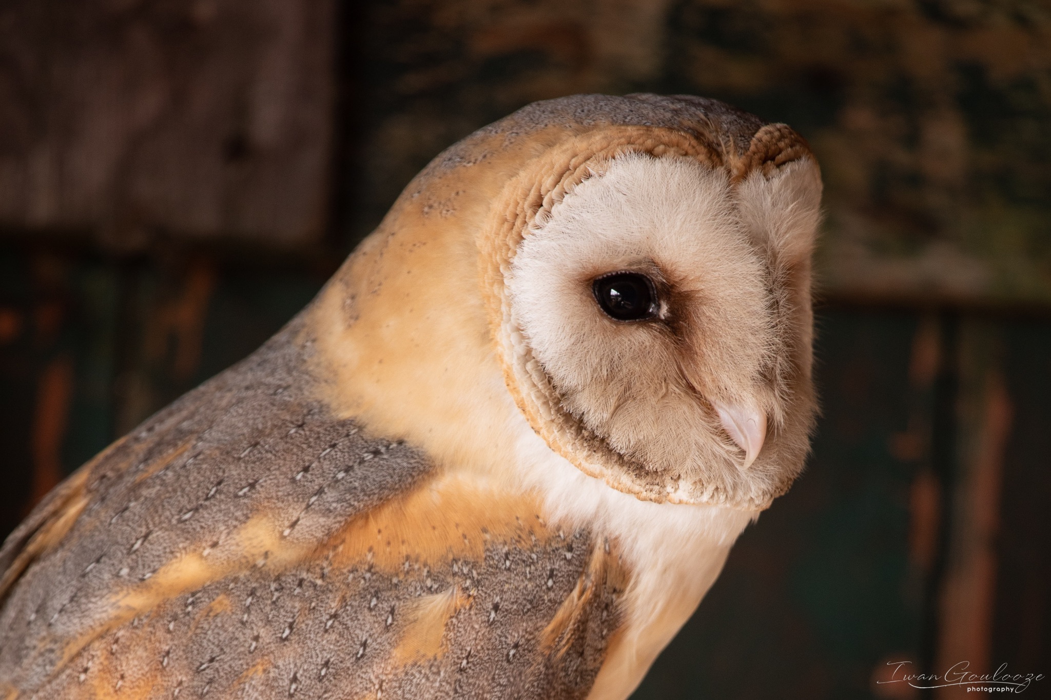 2Y6A7284 210306 10 58 59