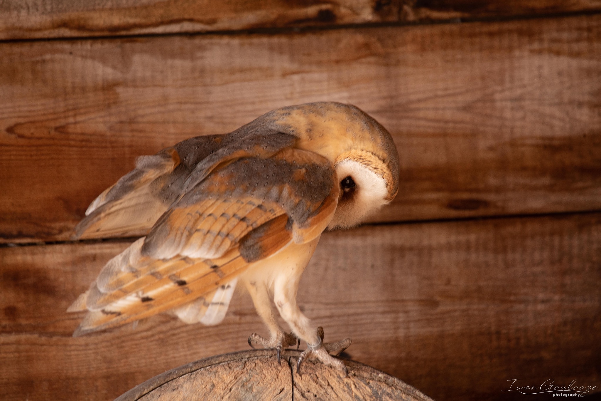 2Y6A7318 210306 11 02 54