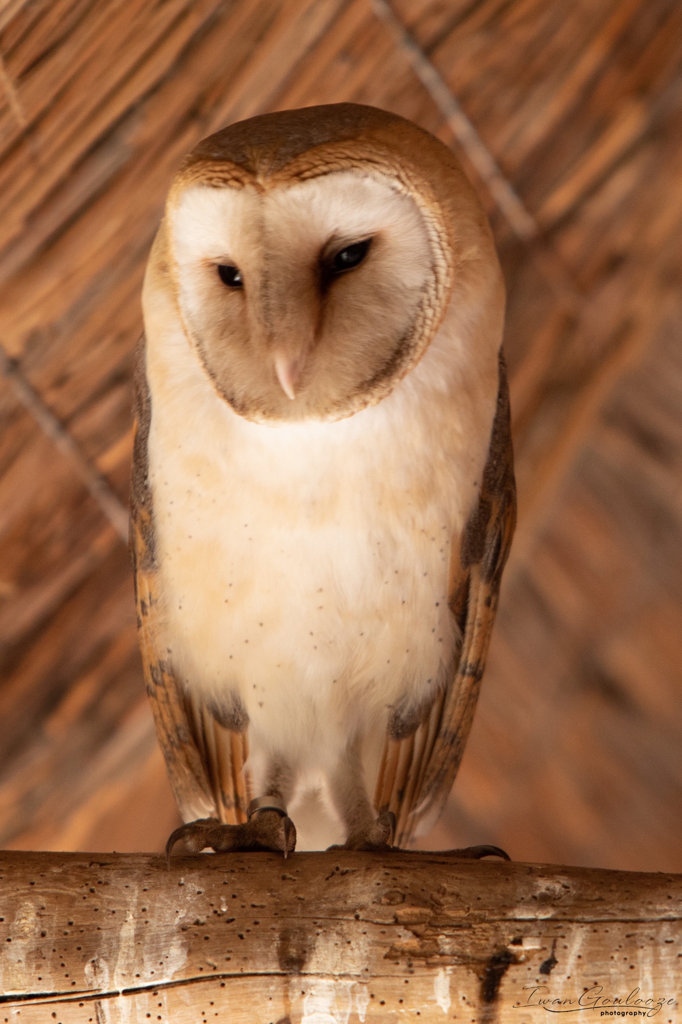 2Y6A8277 210317 10 01 13