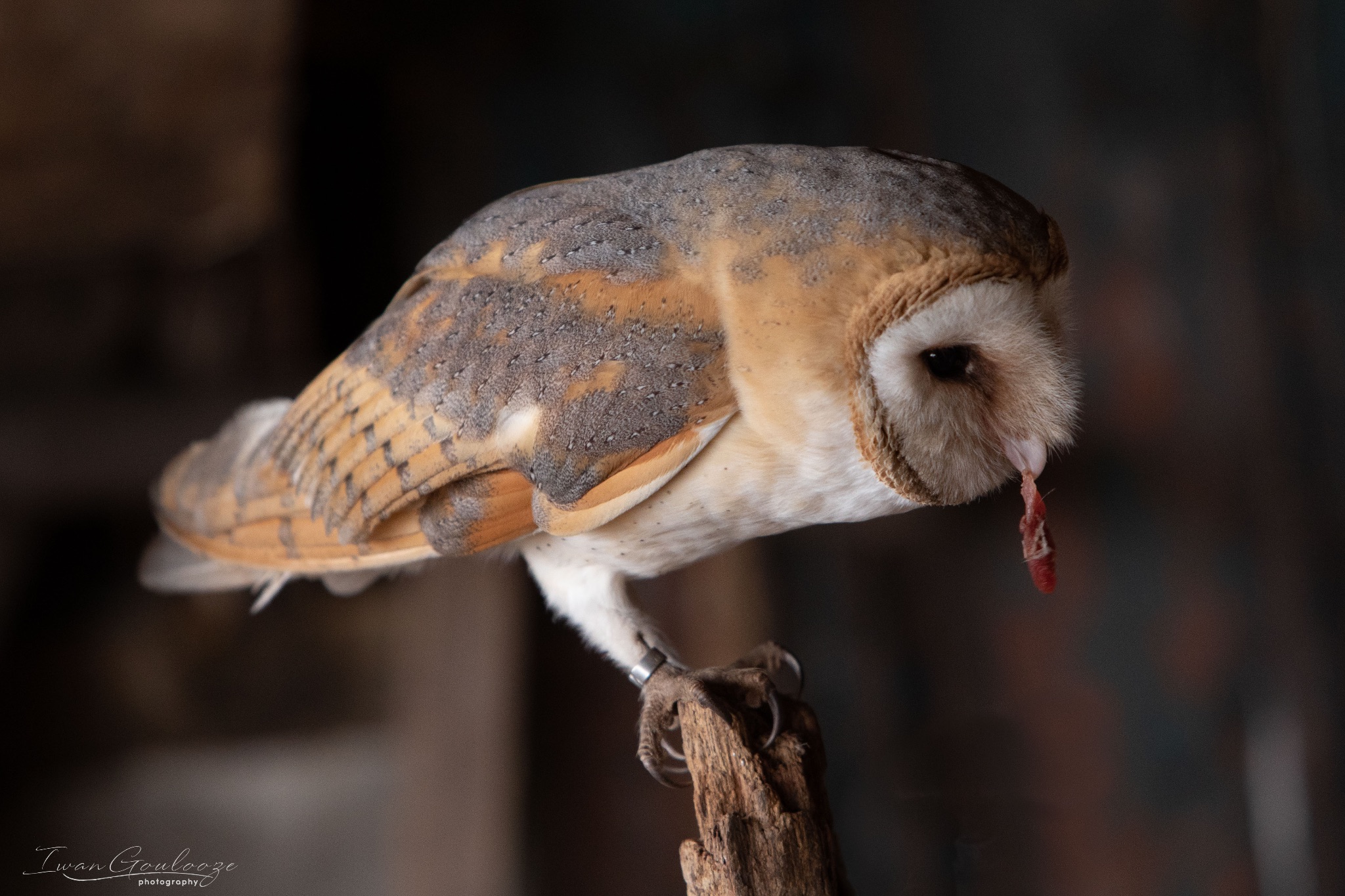 2Y6A8281 210317 10 02 32