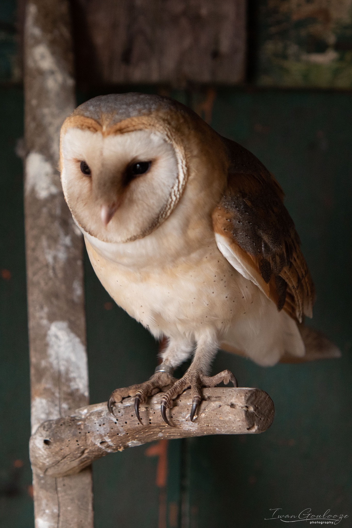 2Y6A8301 210317 10 05 46