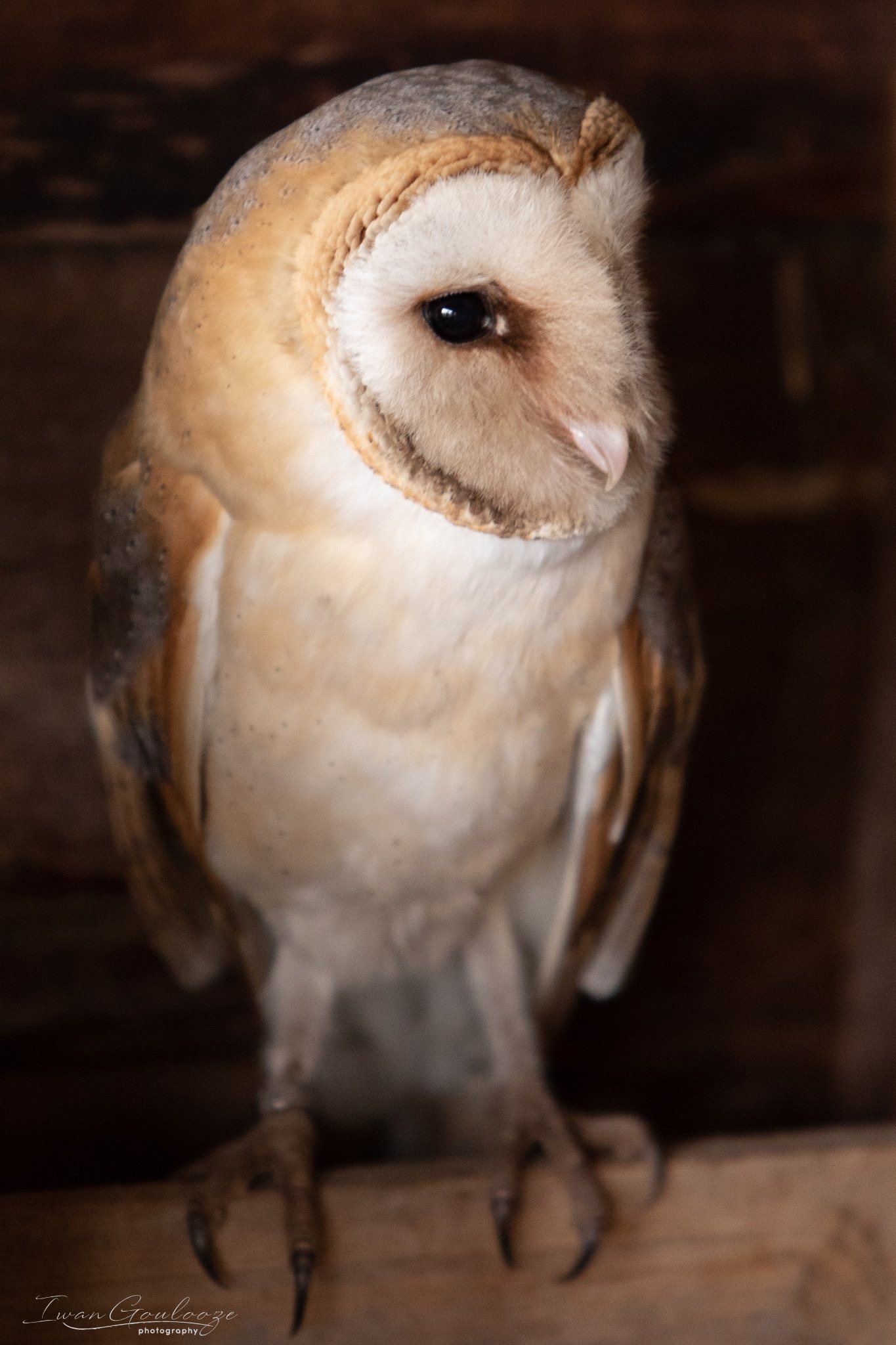 2Y6A8336 210317 10 09 10