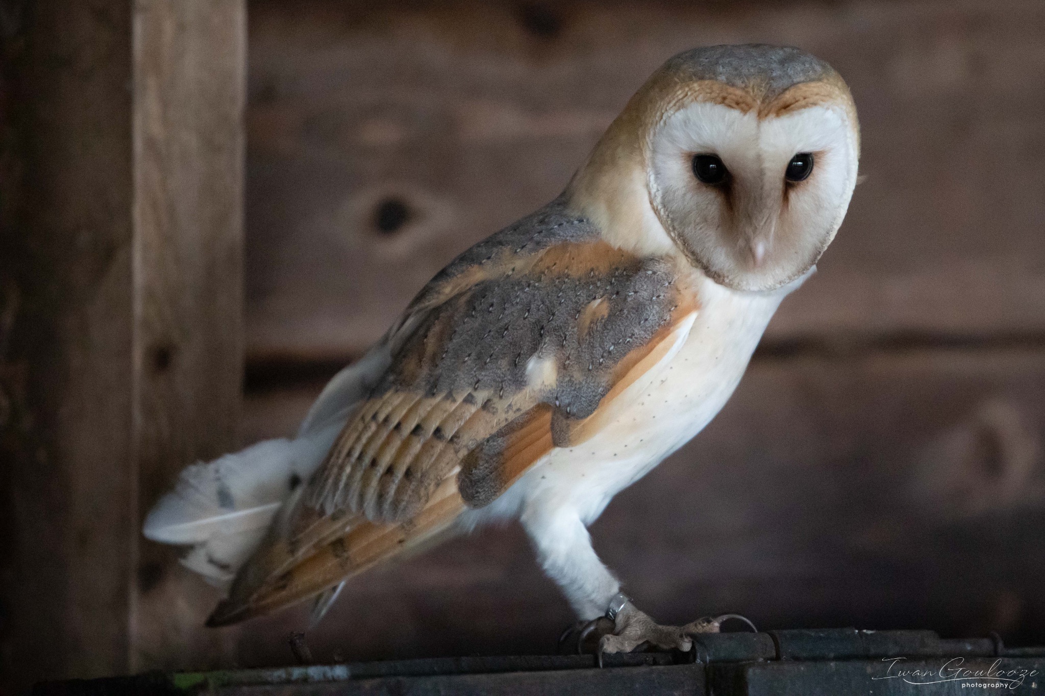 2Y6A8376 210317 10 13 13