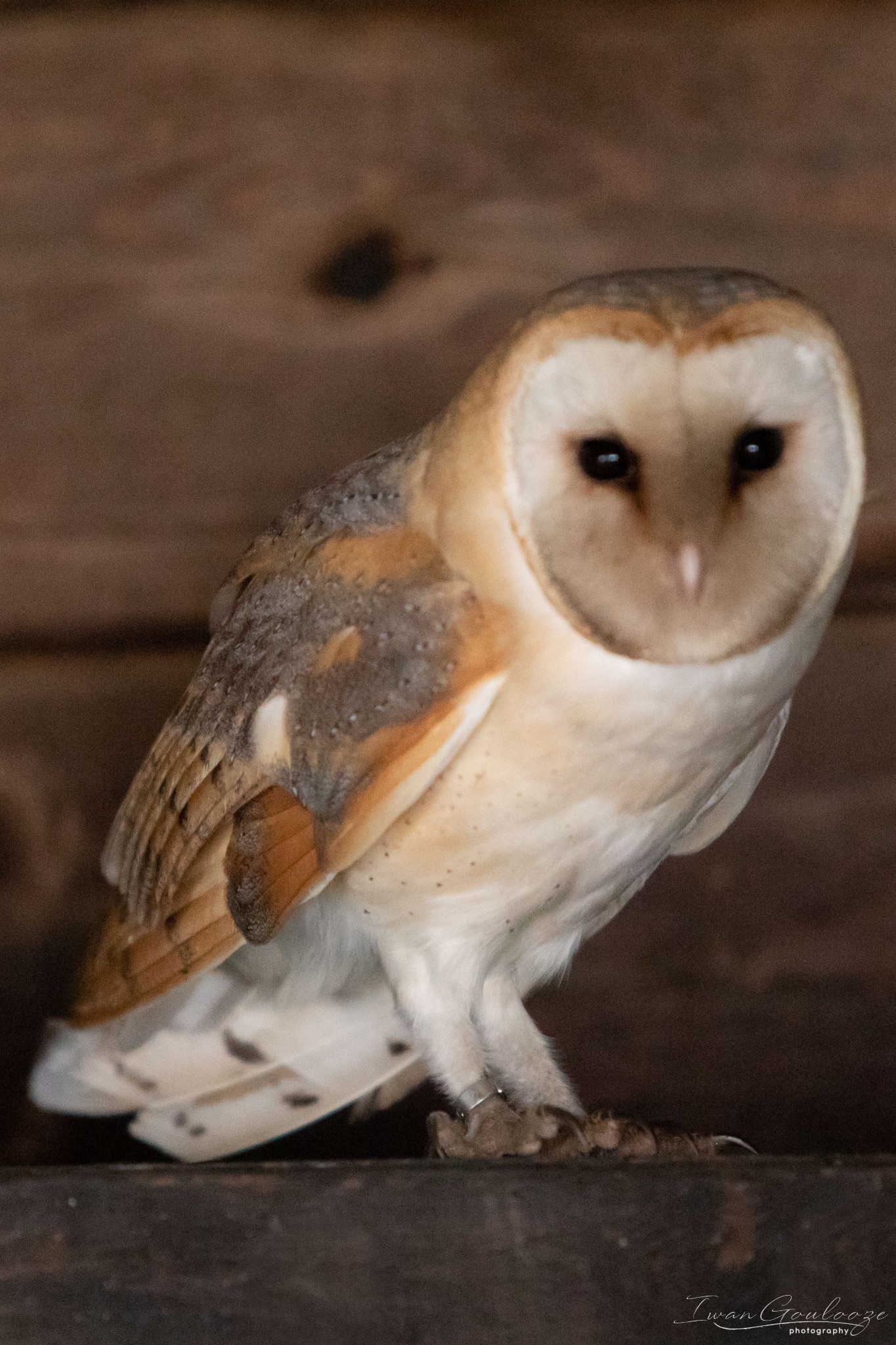 2Y6A8392 210317 10 13 32