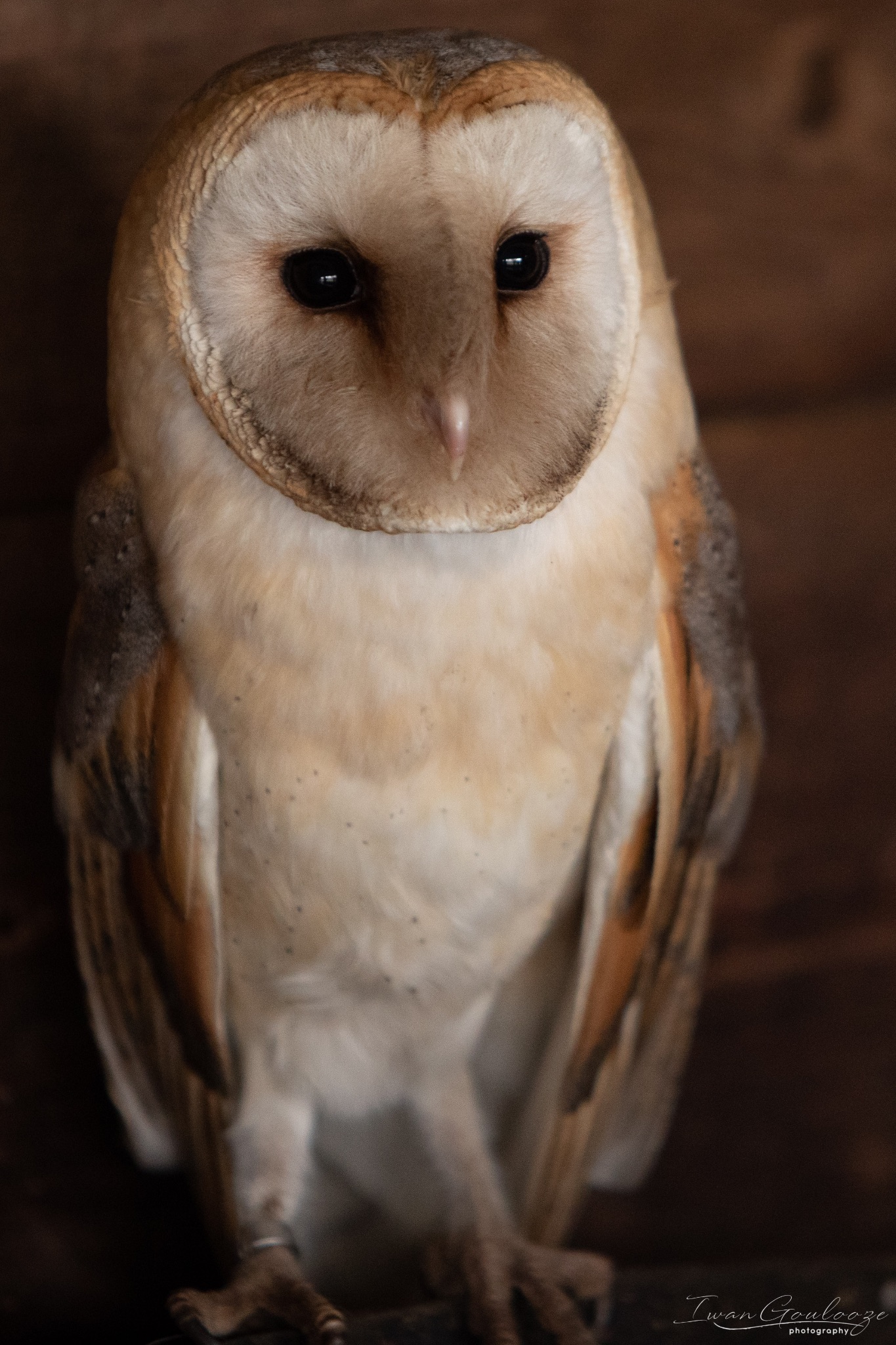 2Y6A8405 210317 10 14 50