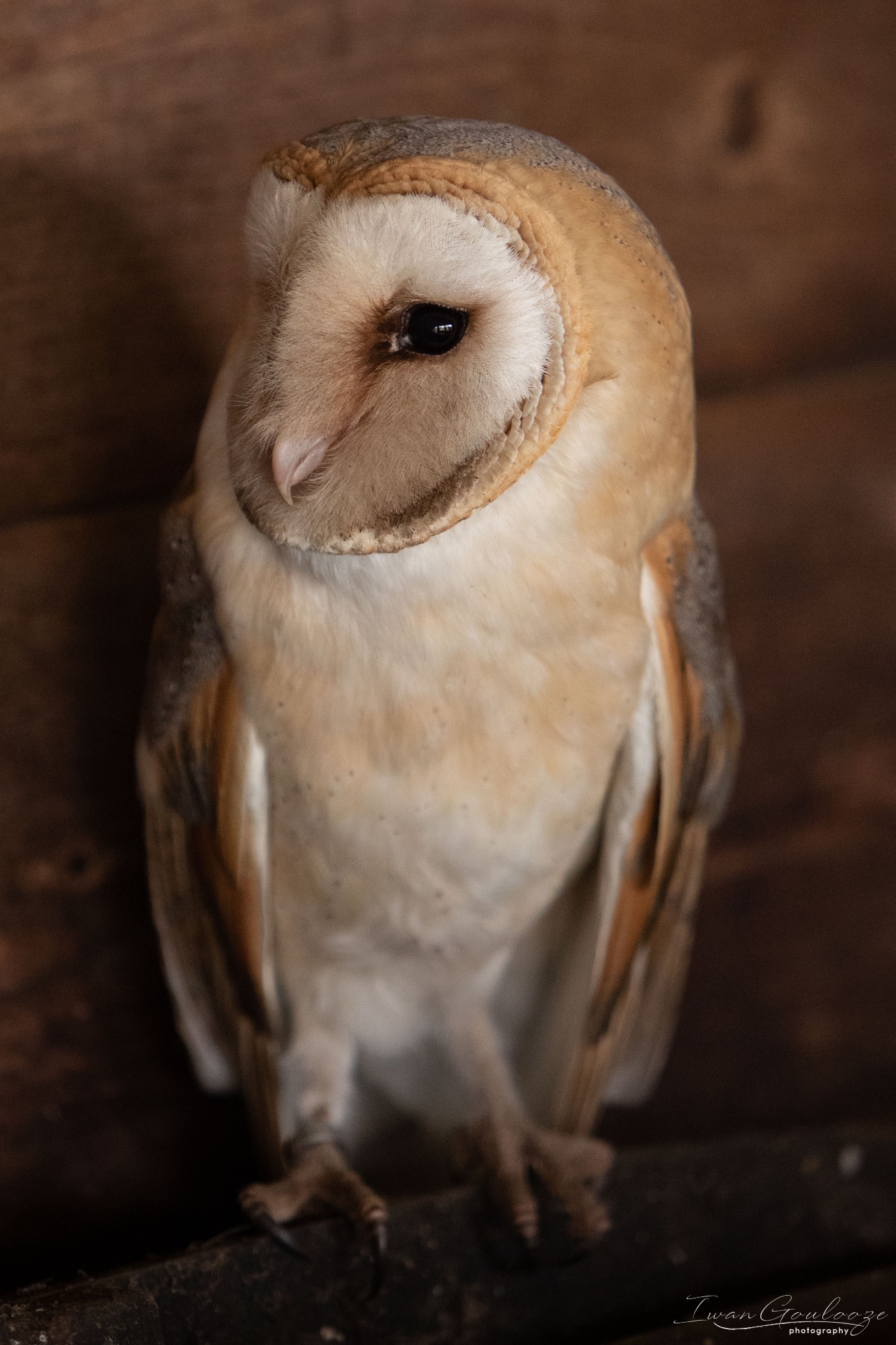 2Y6A8406 210317 10 15 01