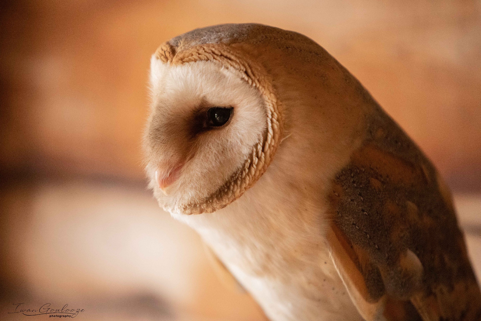 2Y6A8460 210317 10 20 40