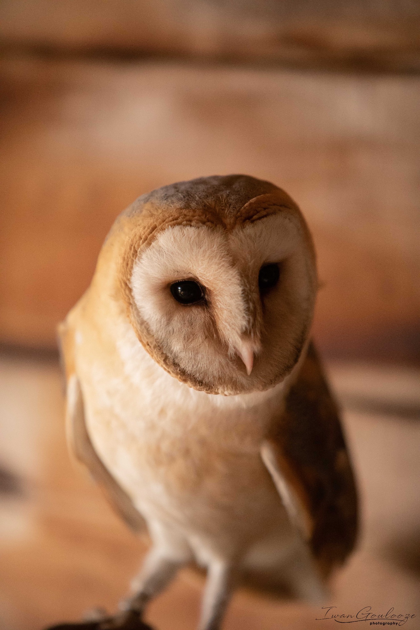 2Y6A8463 210317 10 20 54