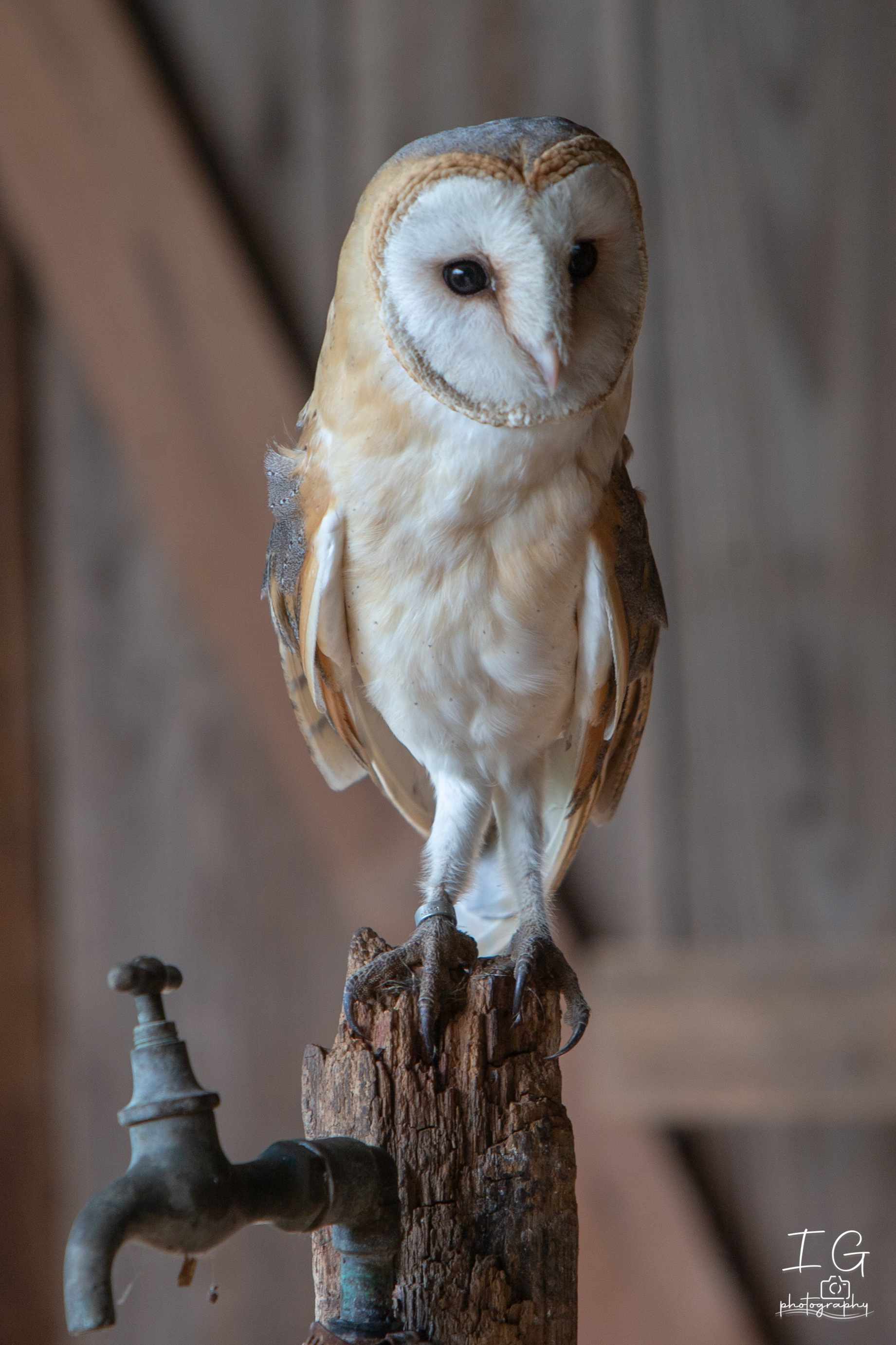  1DX0255 210928 11 37 00