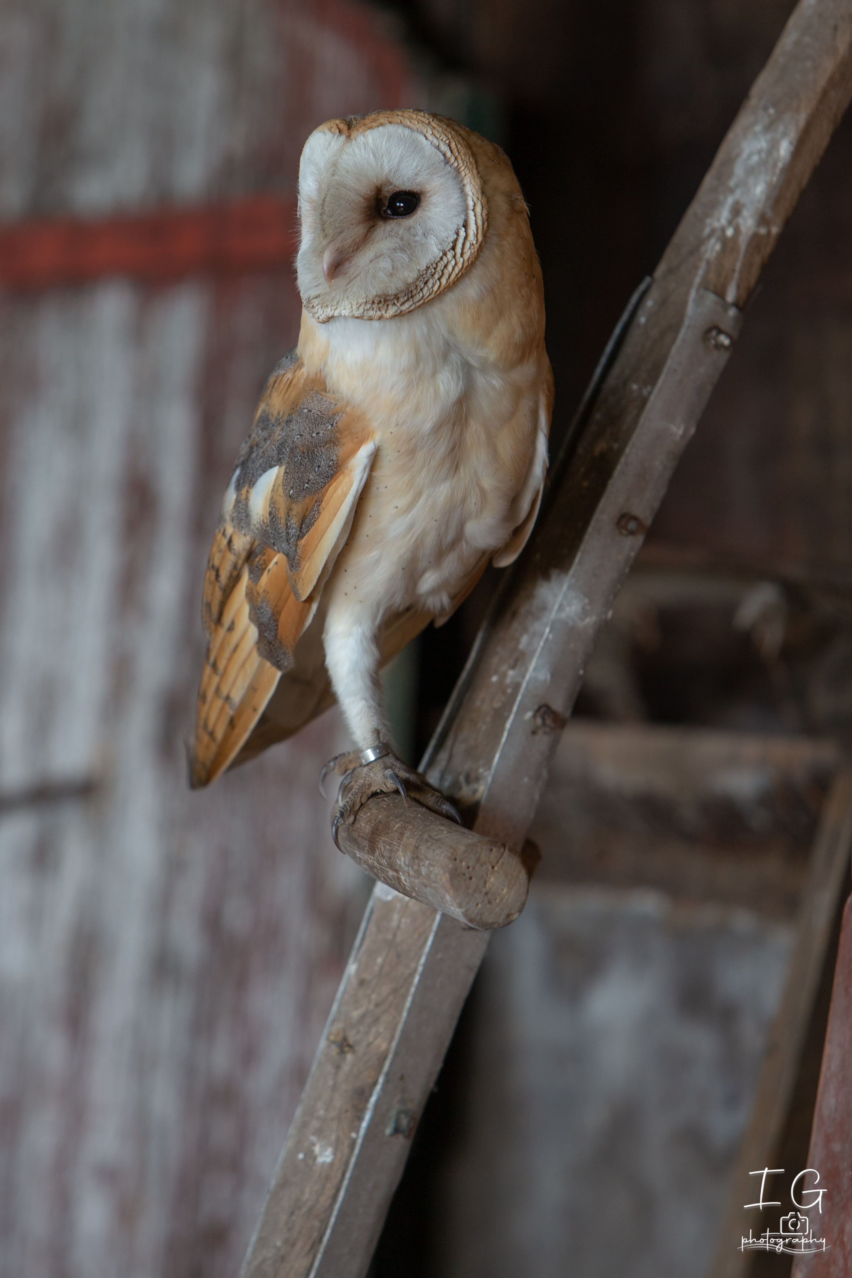  1DX0296 210928 11 38 48