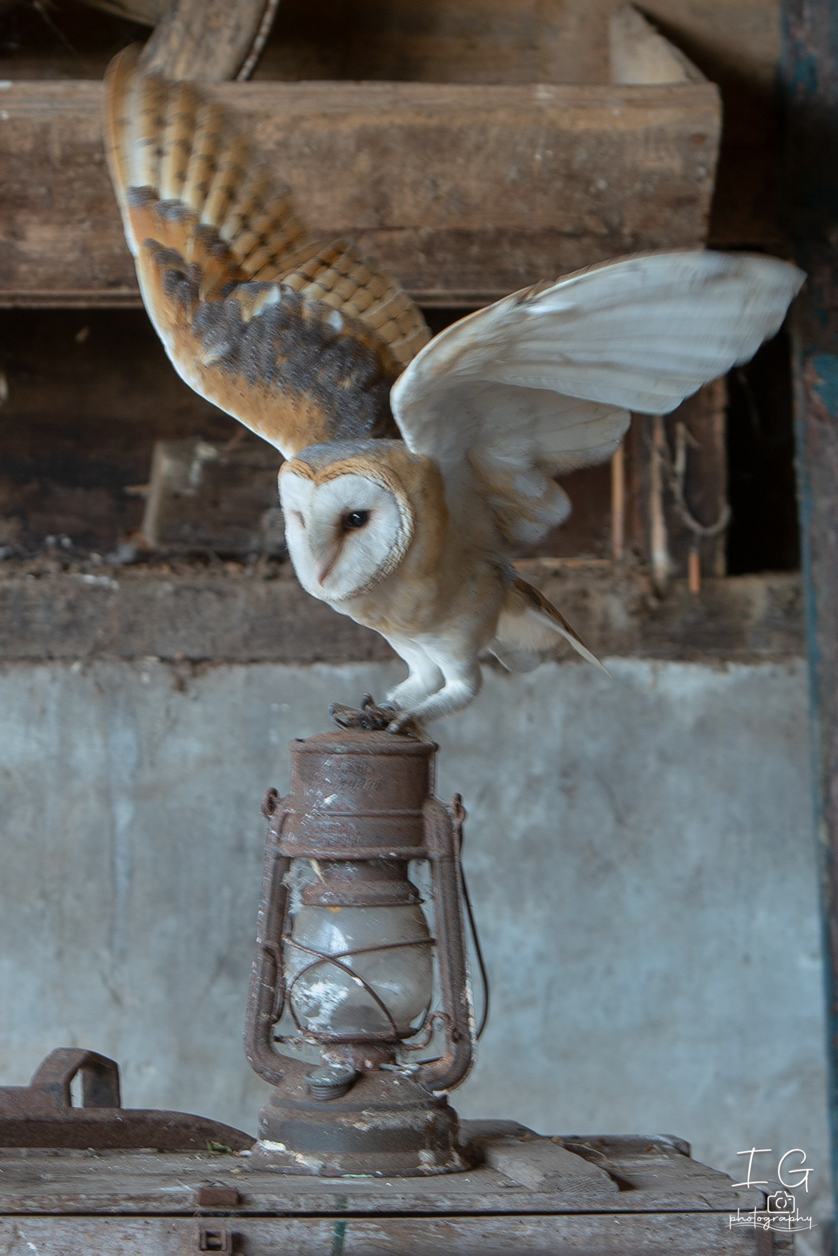  1DX0316 210928 11 39 50