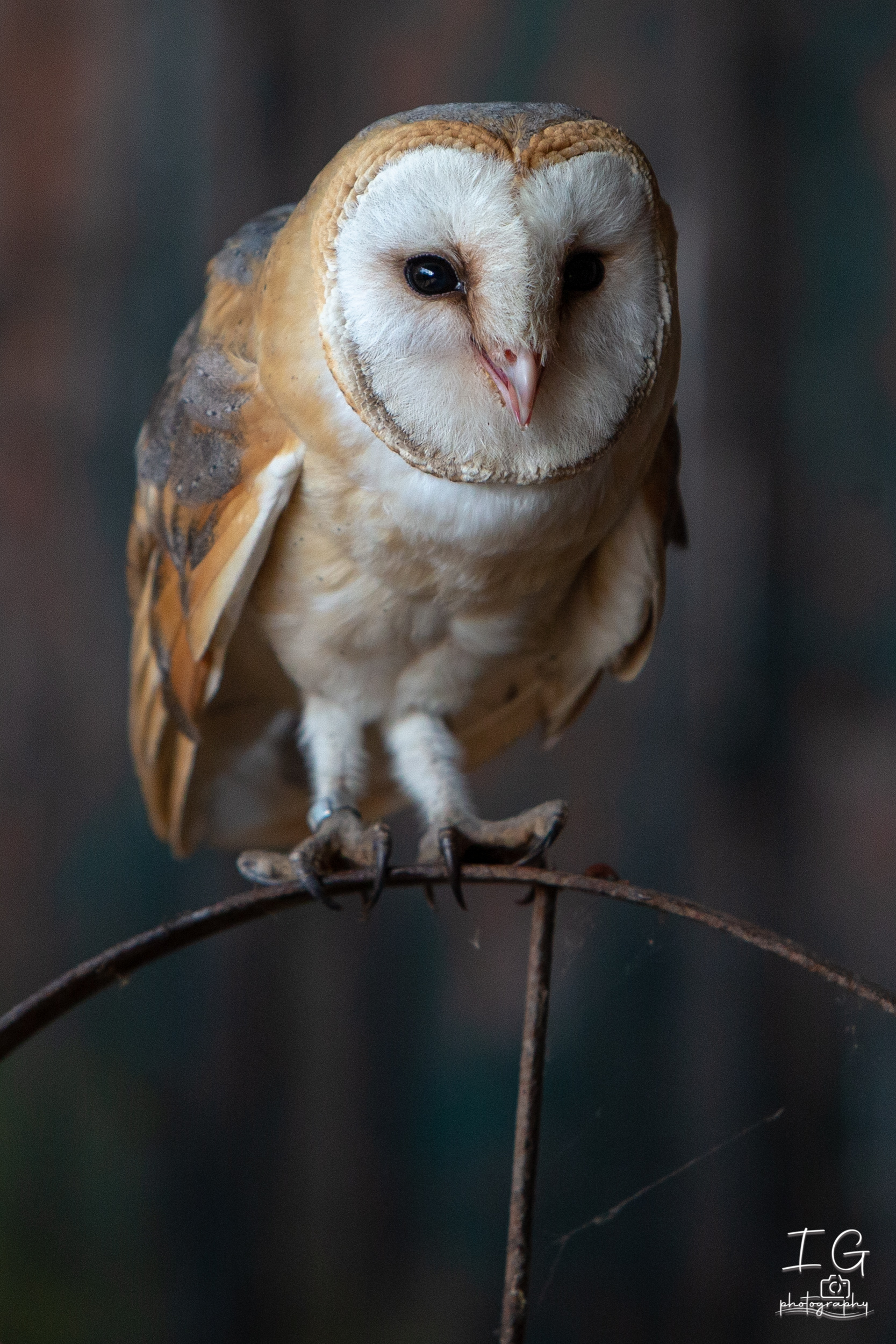  1DX0366 210928 11 42 18