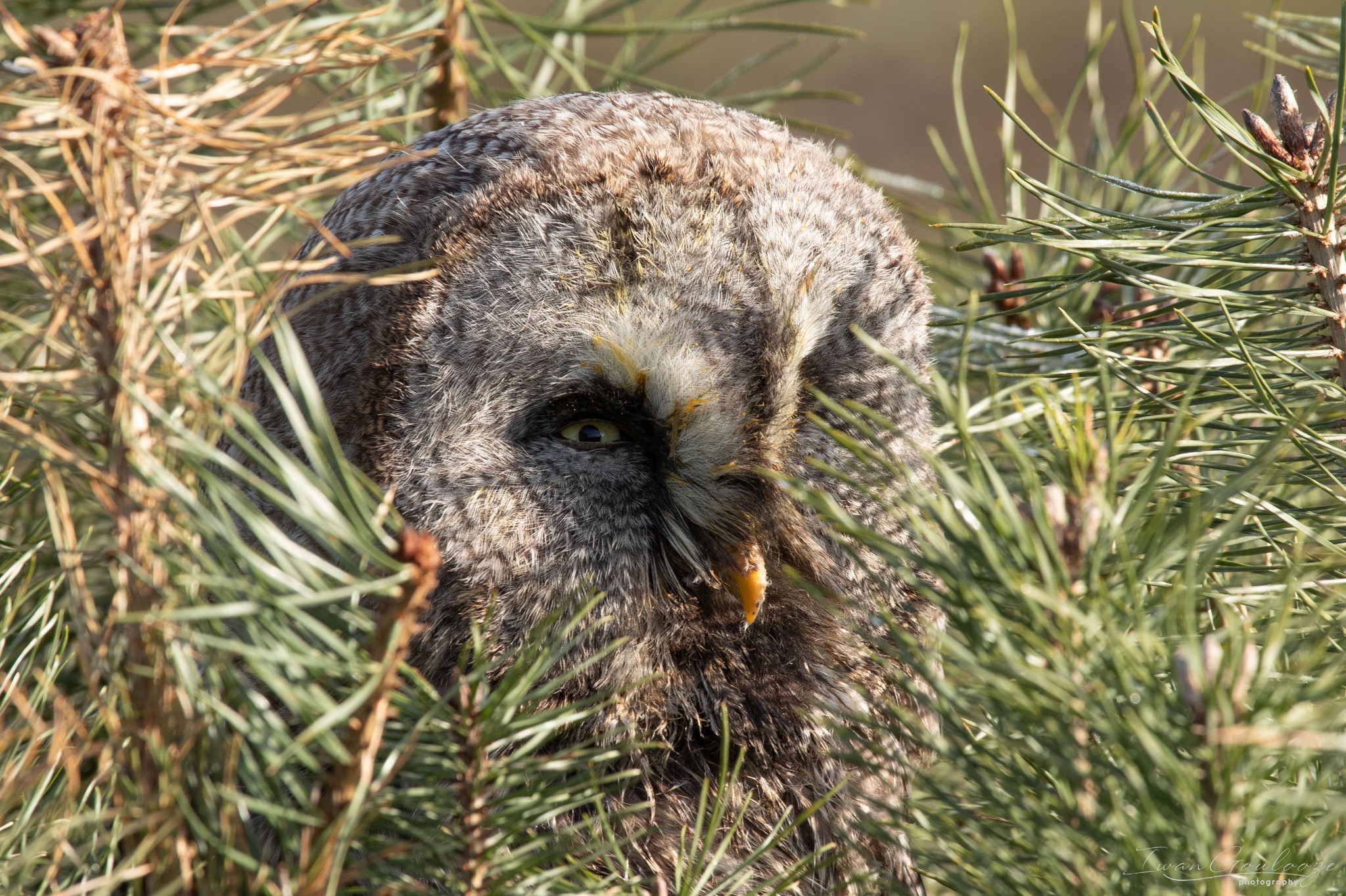 2Y6A6738 210306 09 32 39