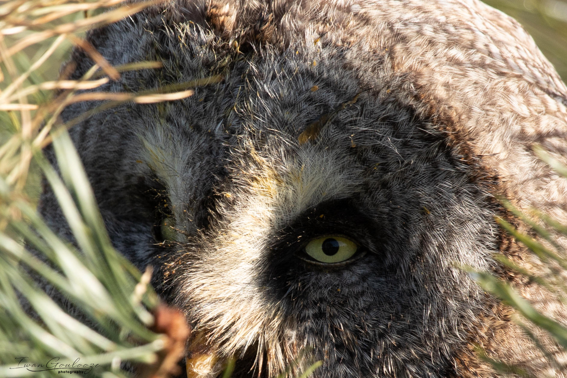 2Y6A6749 210306 09 33 05