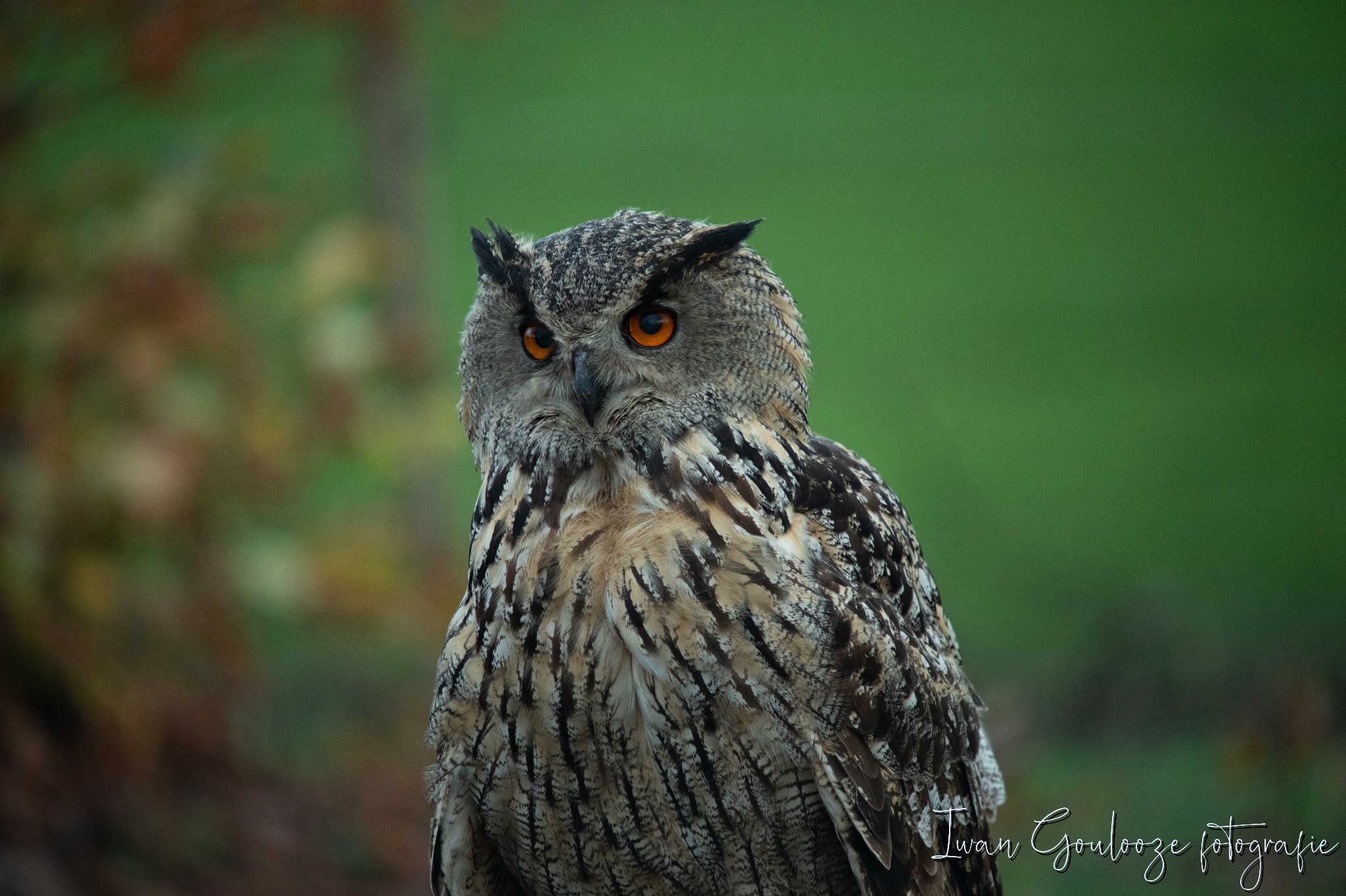 2Y6A1135 201204 10 28 58