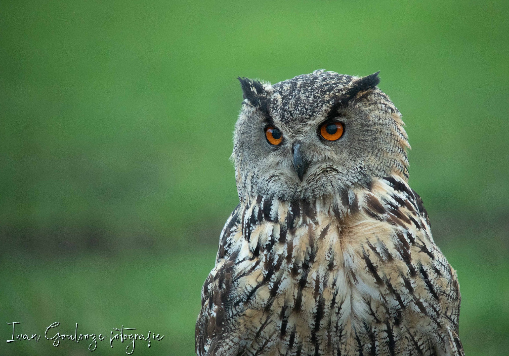 2Y6A1146 201204 10 30 13