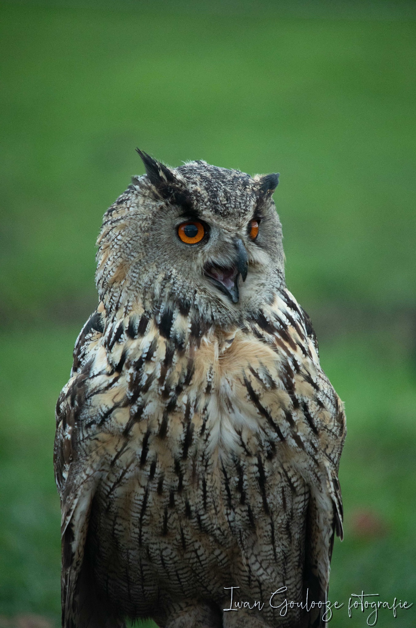 2Y6A1150 201204 10 30 30