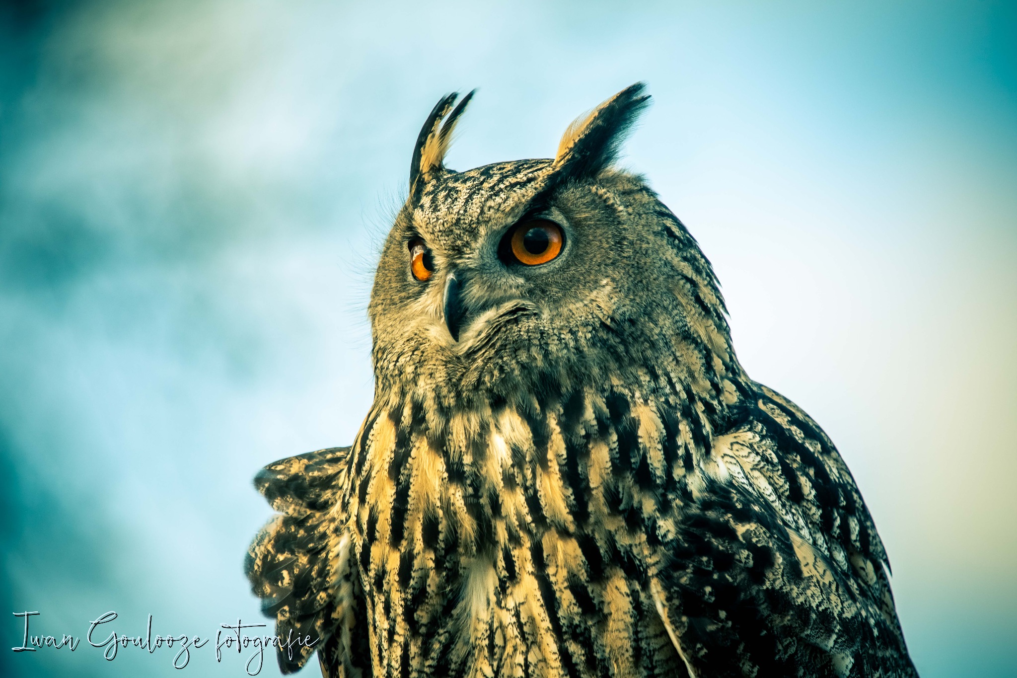 2Y6A1244 201204 10 44 29