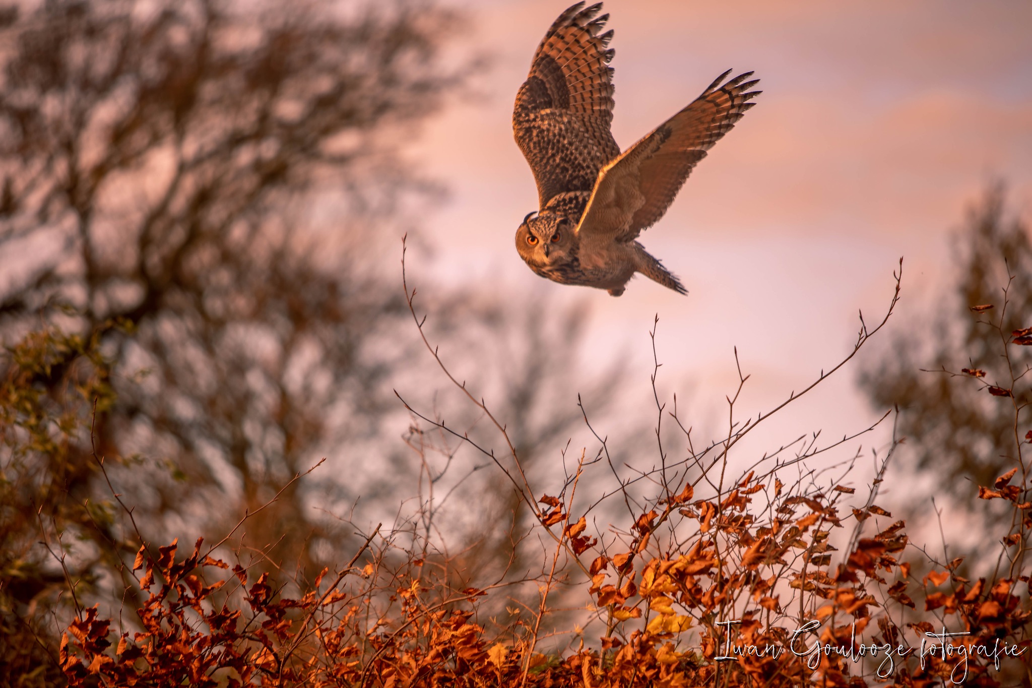 2Y6A1270 201204 10 47 45