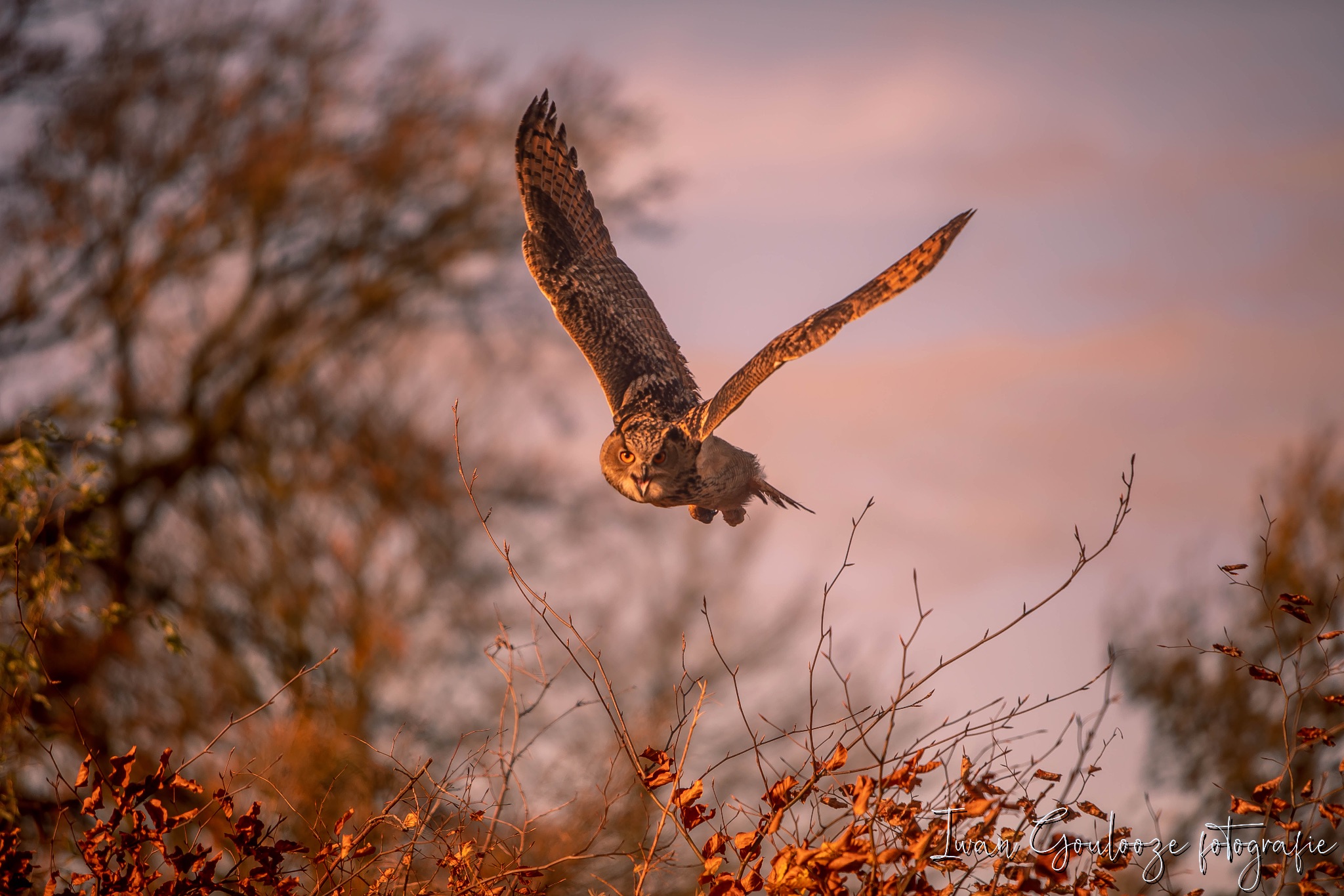 2Y6A1285 201204 10 48 39