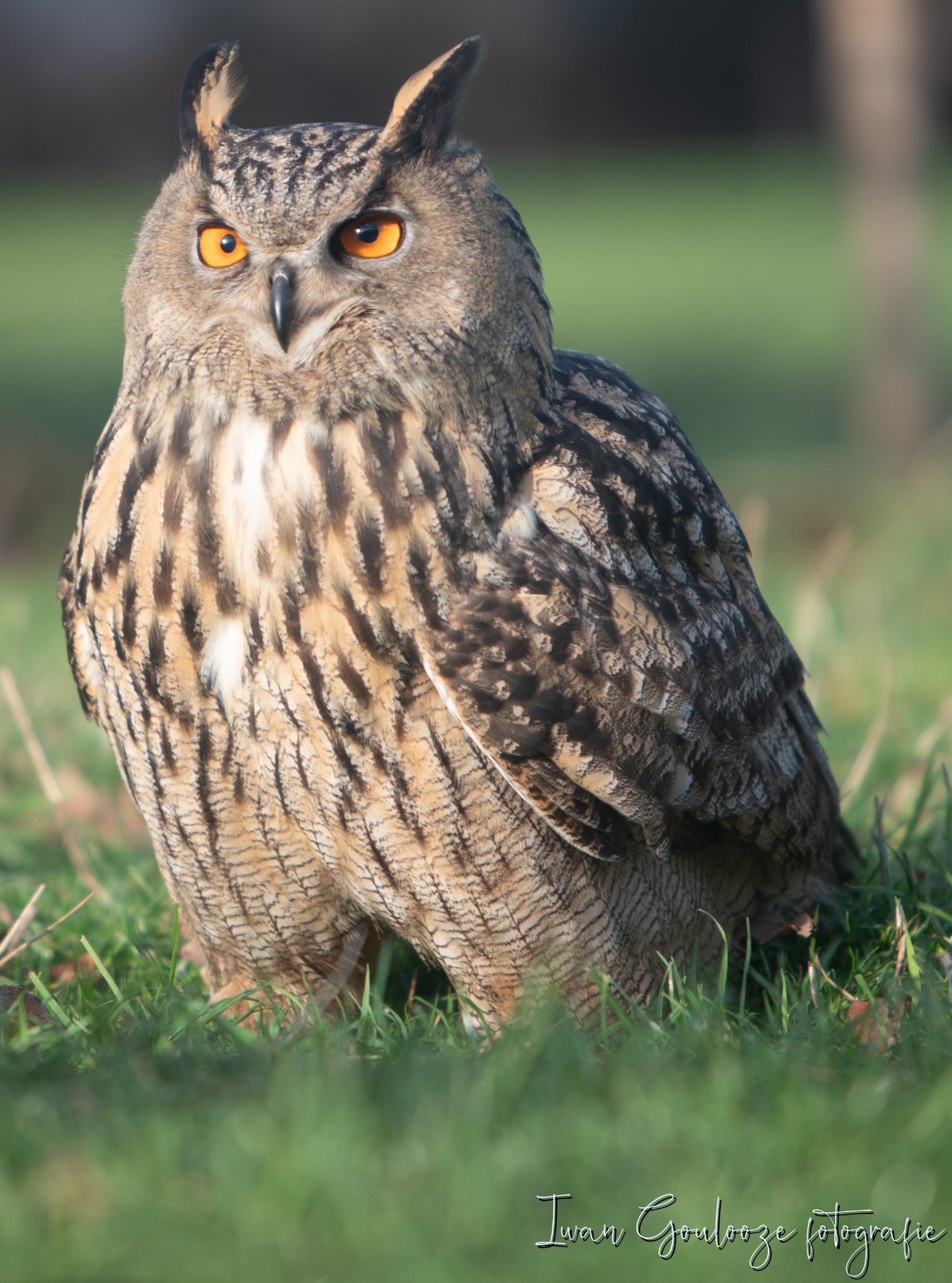 2Y6A1296 201204 10 49 00