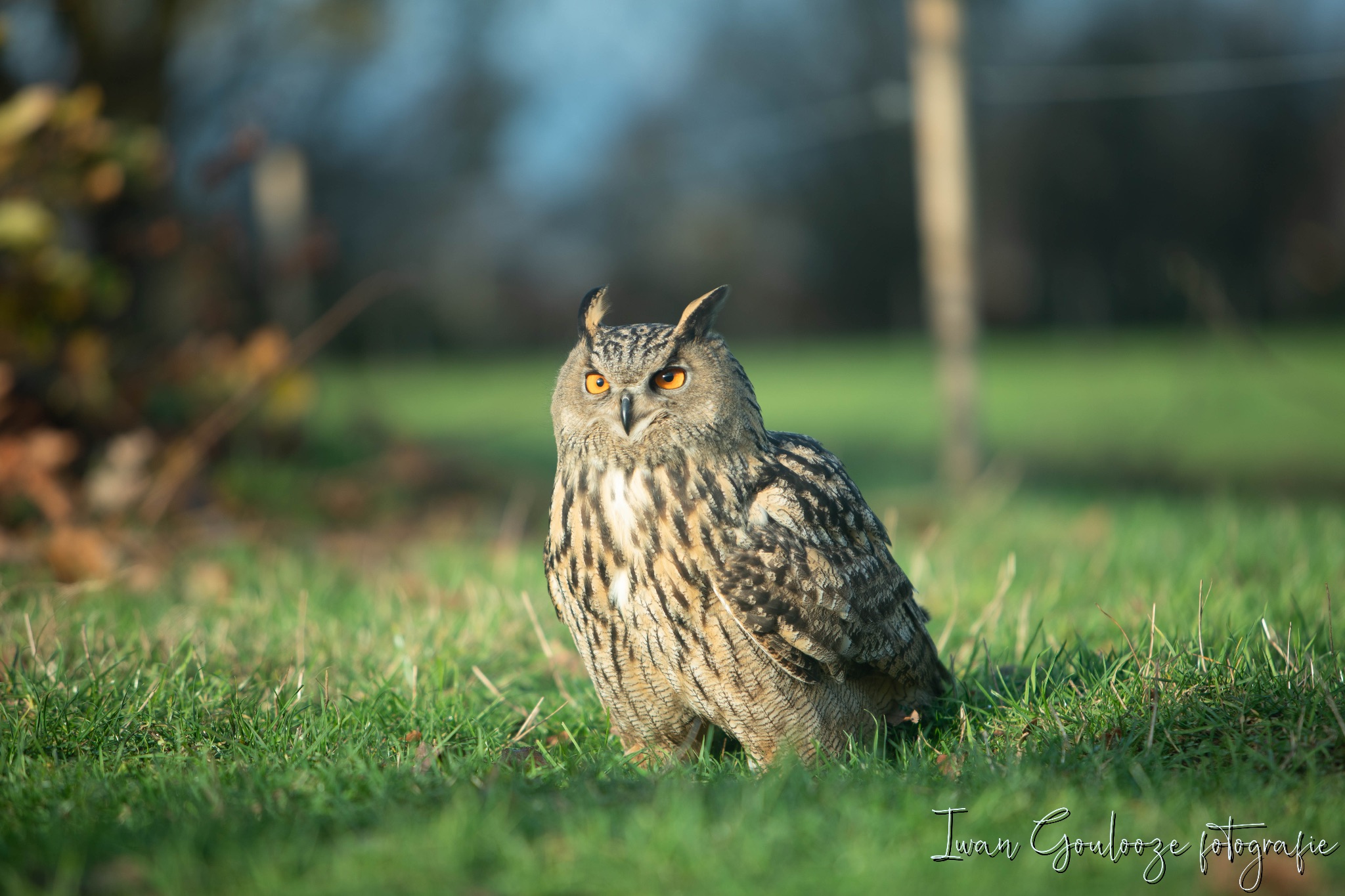 2Y6A1297 201204 10 49 01