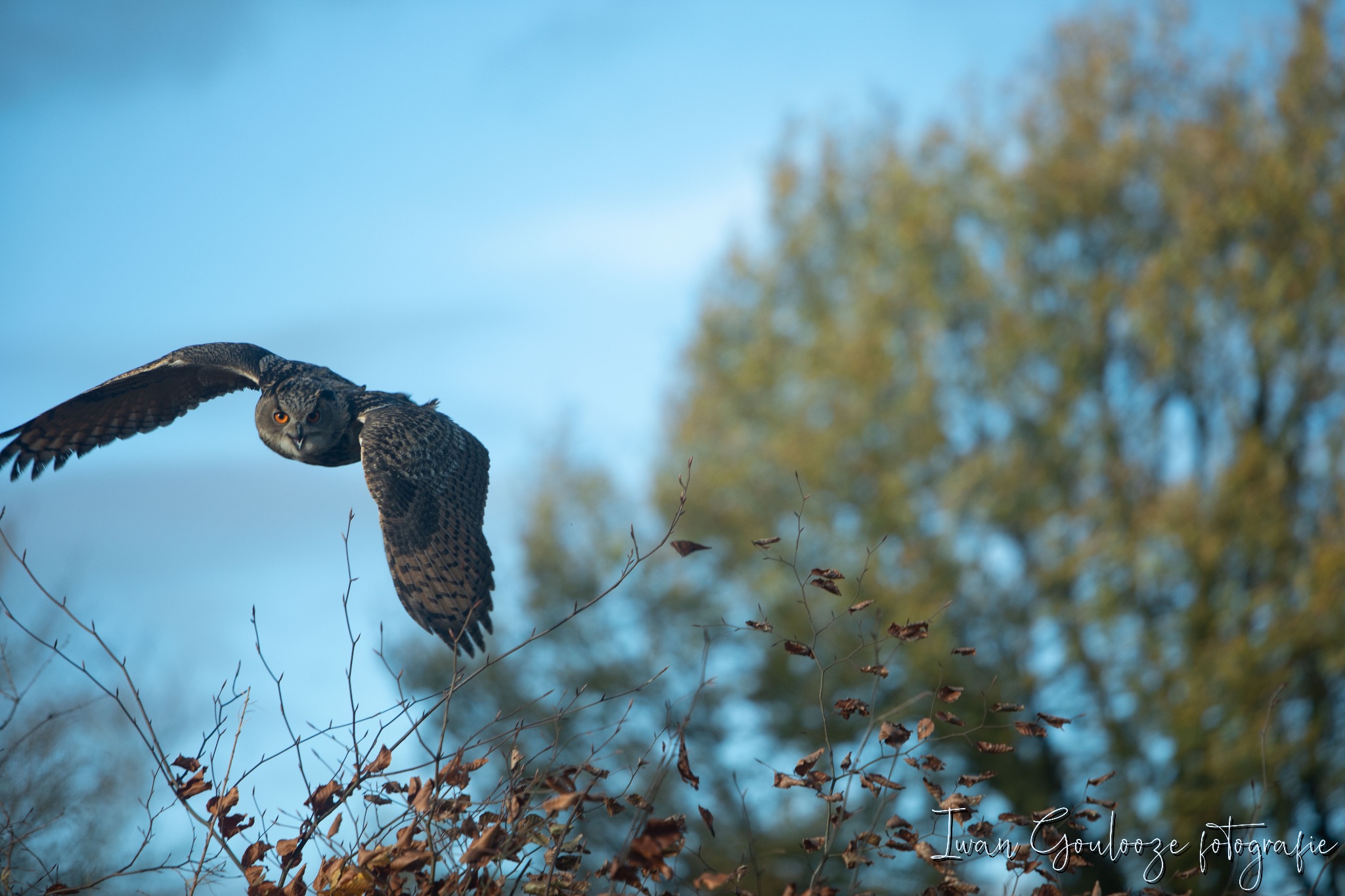 2Y6A1310 201204 10 50 01