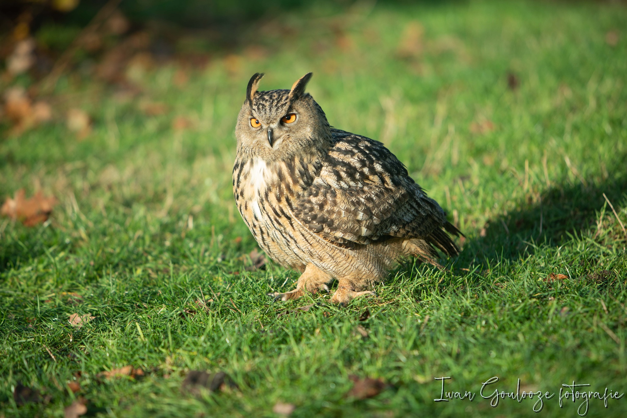 2Y6A1328 201204 10 50 36